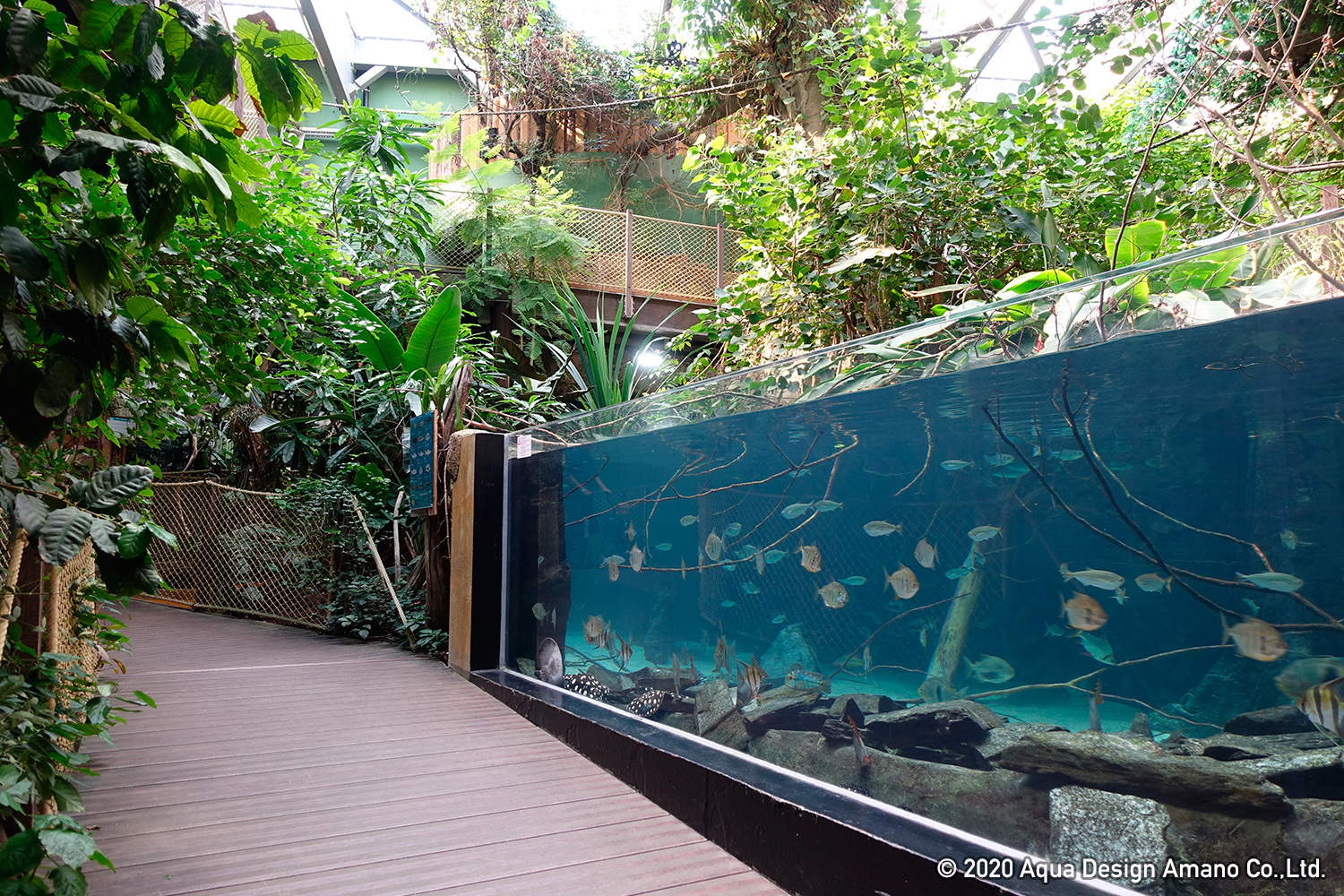 WORLD REPORT – Aquatis, the largest freshwater aquarium in Europe