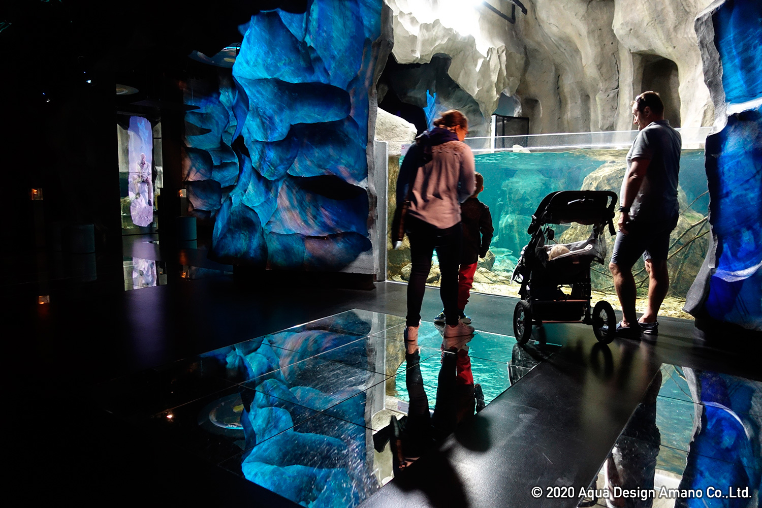 WORLD REPORT – Aquatis, the largest freshwater aquarium in Europe