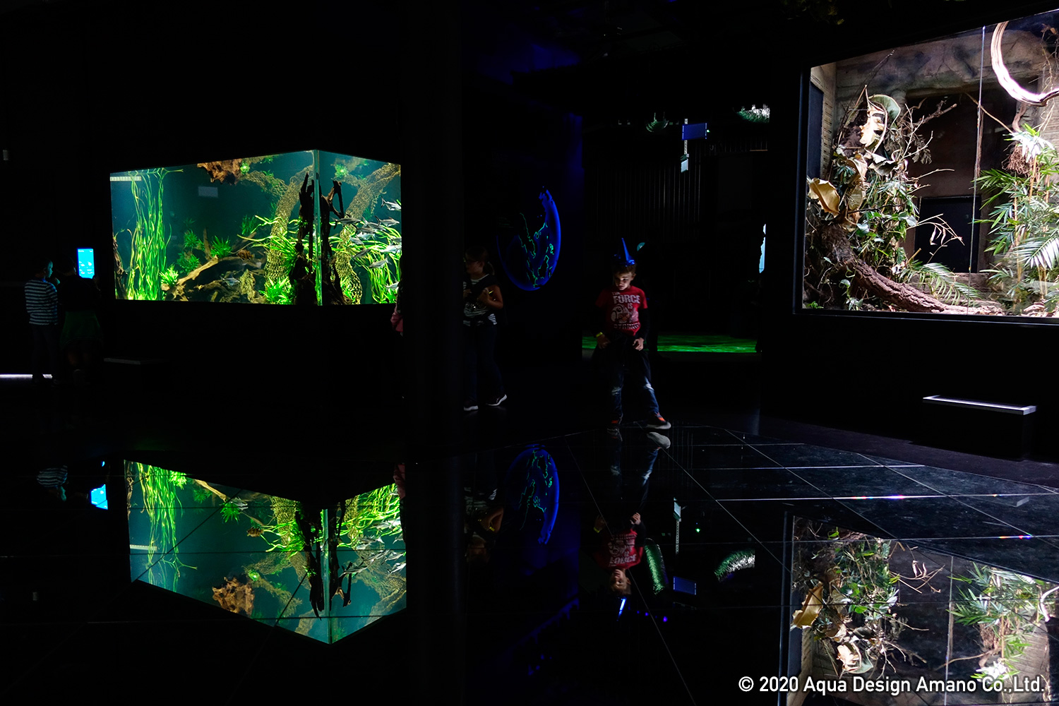 WORLD REPORT – Aquatis, the largest freshwater aquarium in Europe