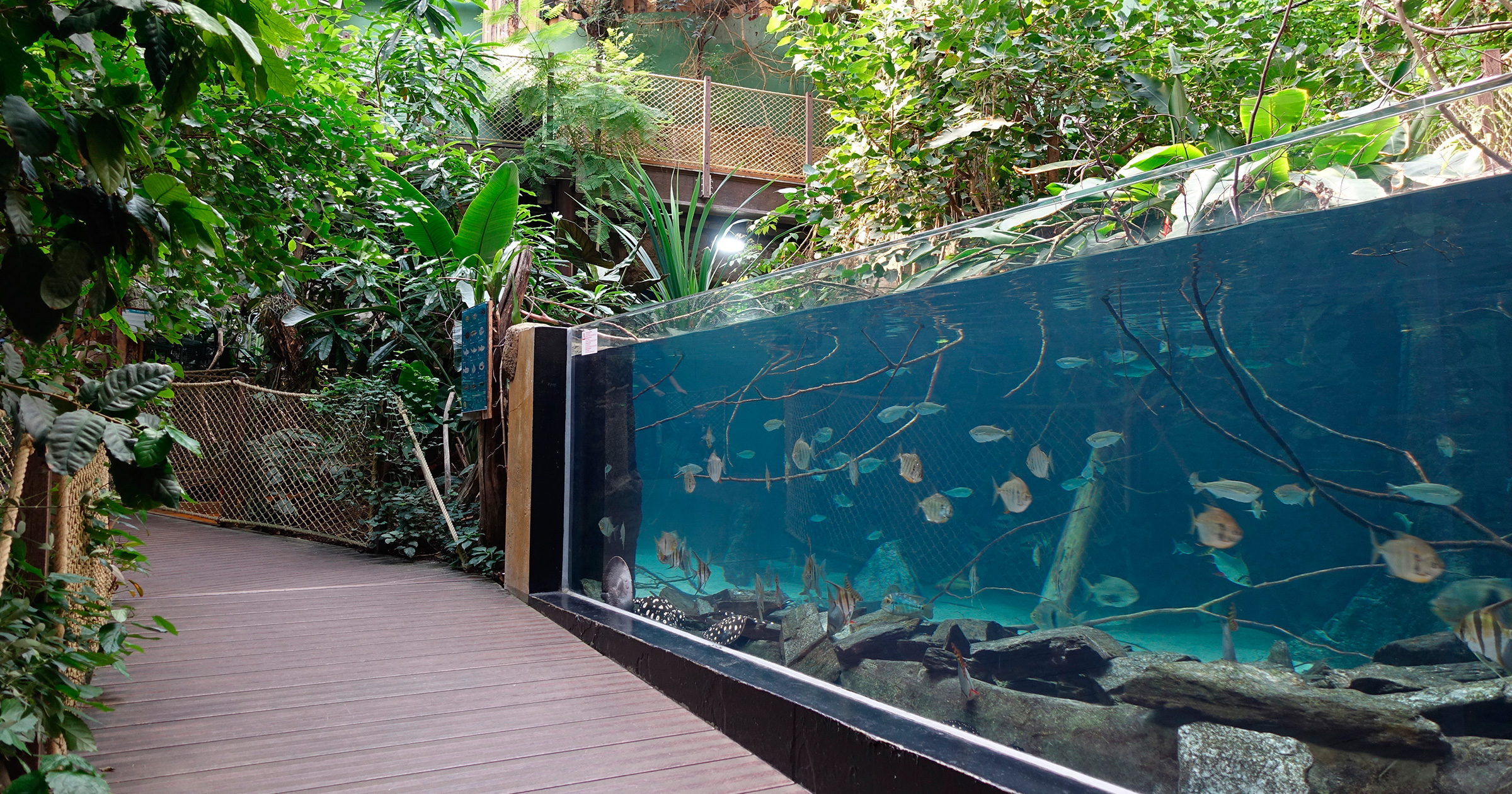 WORLD REPORT – Aquatis, the largest freshwater aquarium in Europe