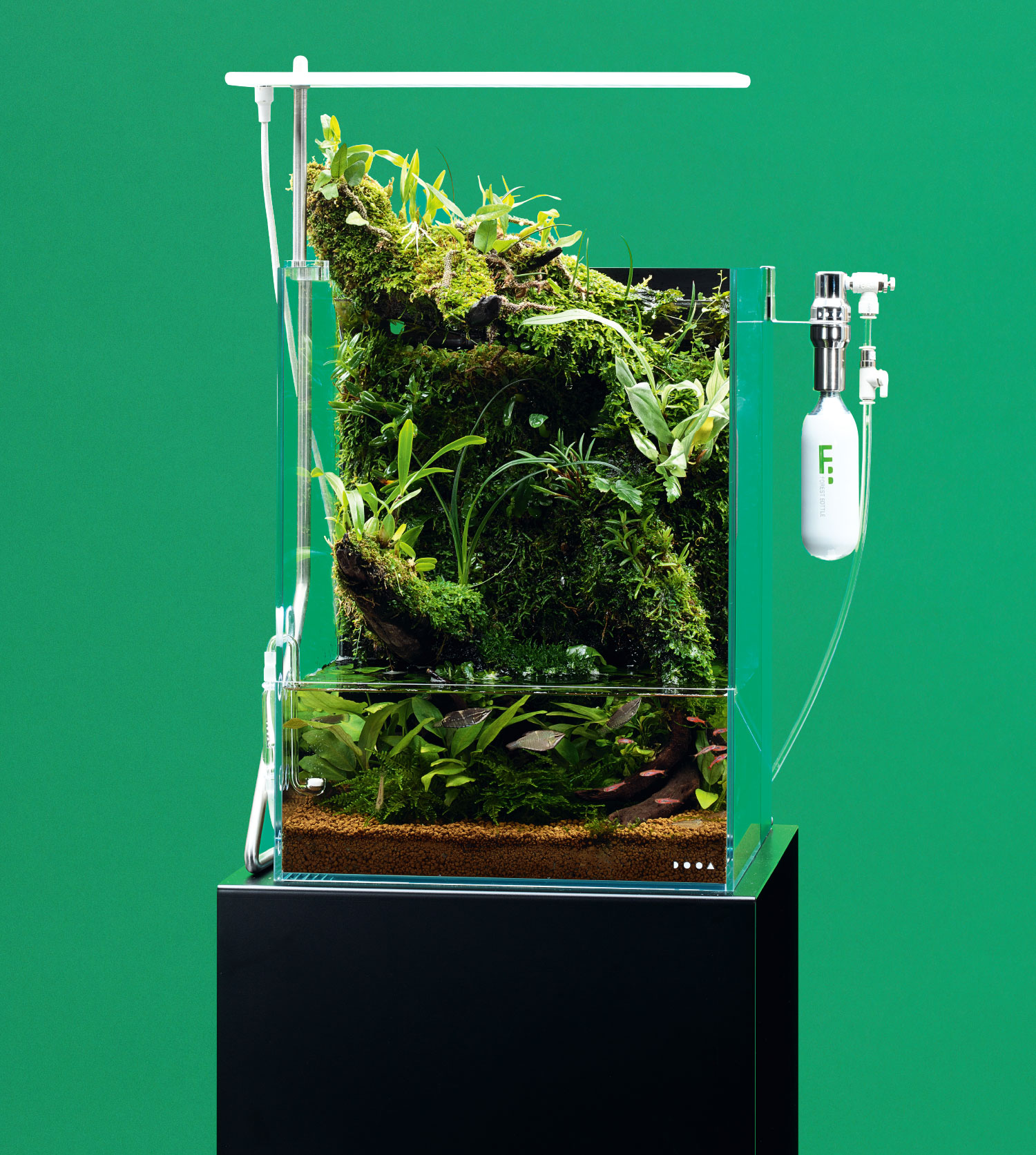Enjoy DOOA 'Effortlessly enjoy aquatic plants and Jungle Plants' | ADA