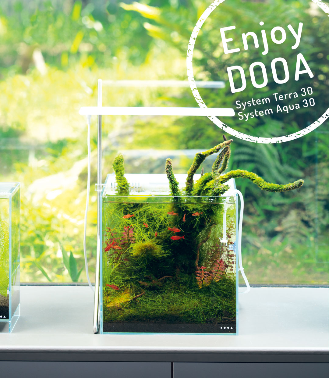 Enjoy DOOA ‘Effortlessly enjoy aquatic plants and Jungle Plants’
