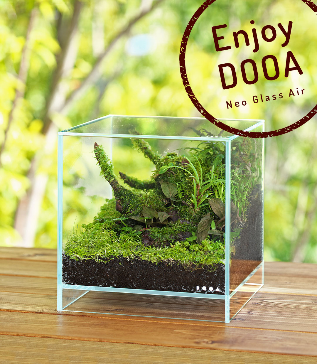 Enjoy DOOA ‘Casually enjoy growing terrestrial leaves of aquatic plants with Neo Glass Air’