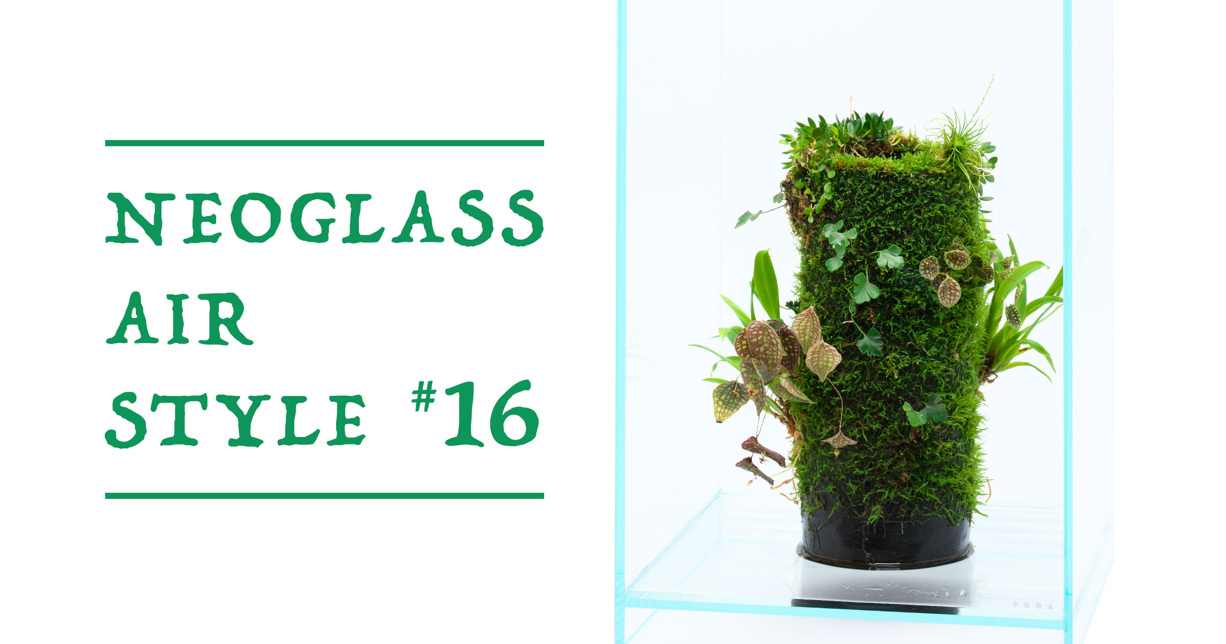 NEO GLASS AIR STYLE ‘Longing For the Natural Habitat’