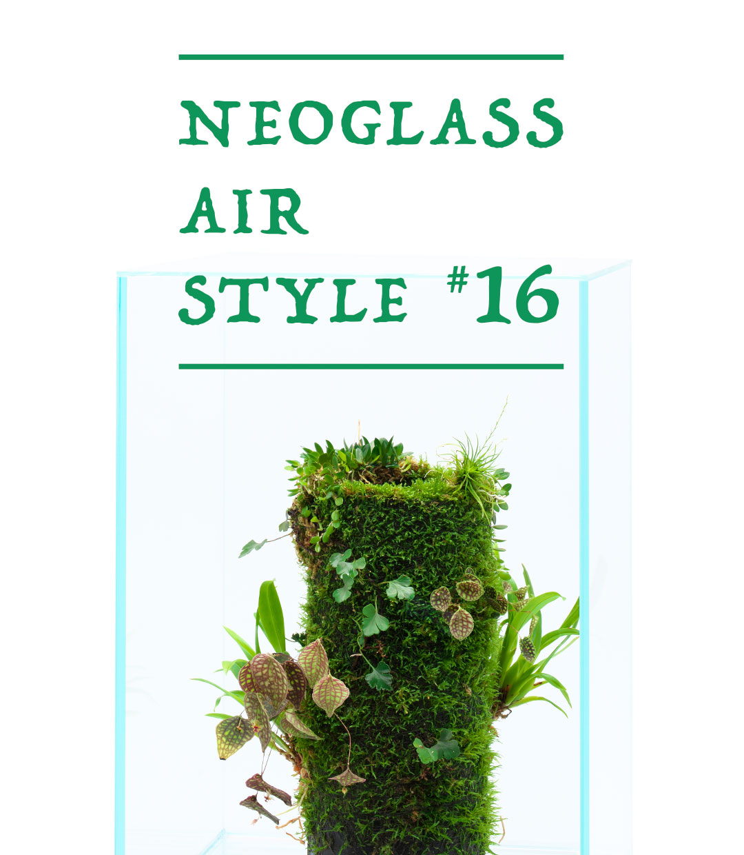 NEO GLASS AIR STYLE ‘Longing For the Natural Habitat’