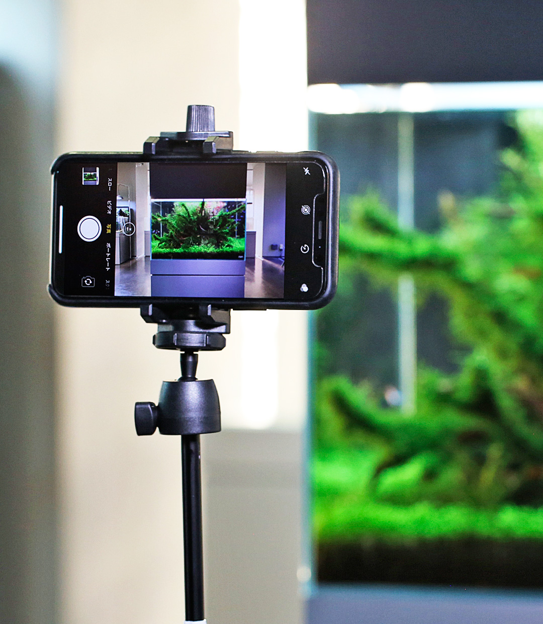 【IAPLC】Techniques for taking beautiful pictures of planted aquarium “Smartphone version”