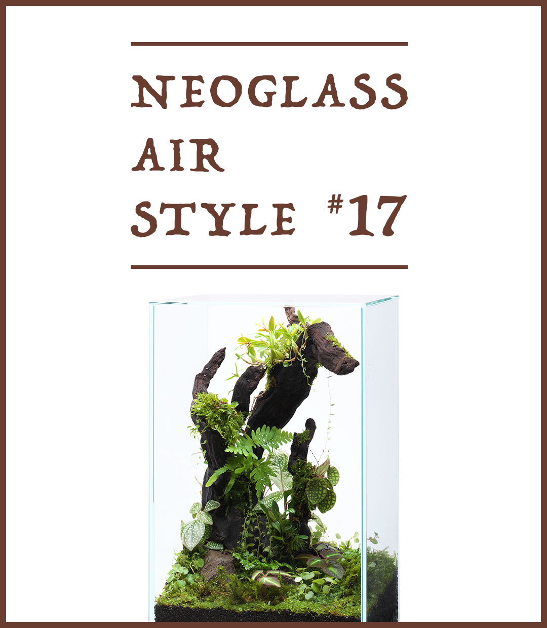 NEO GLASS AIR STYLE ‘Enjoy the uplifting energy created by jungle plants’