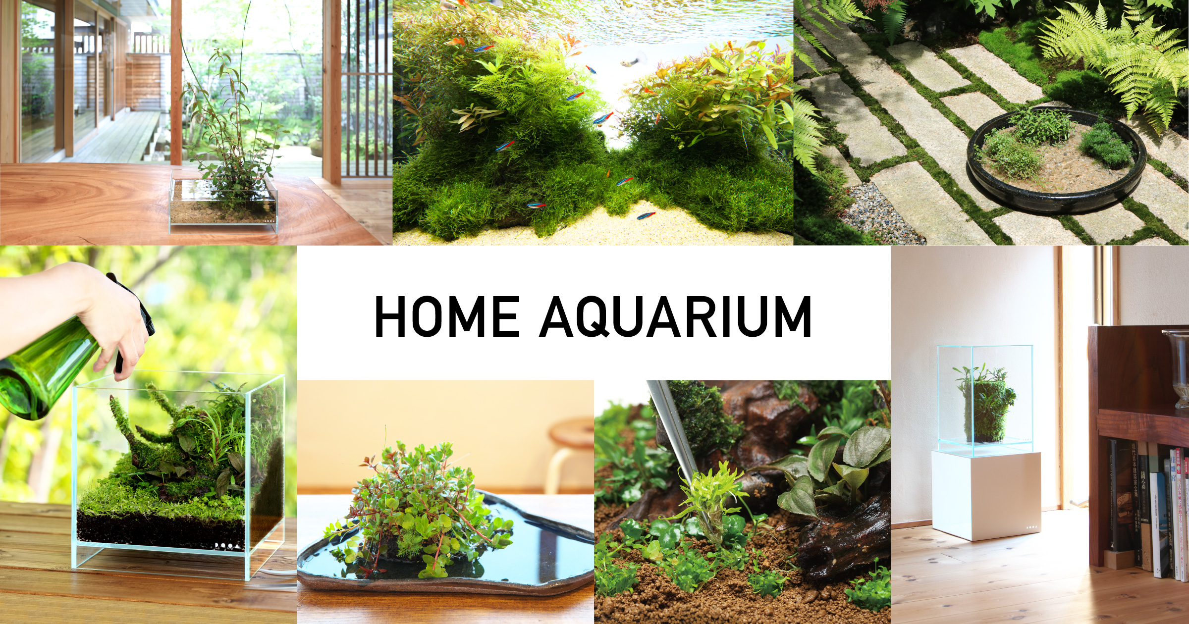 HOME AQUARIUM ‘Enjoy plants with Neo Glass Air’