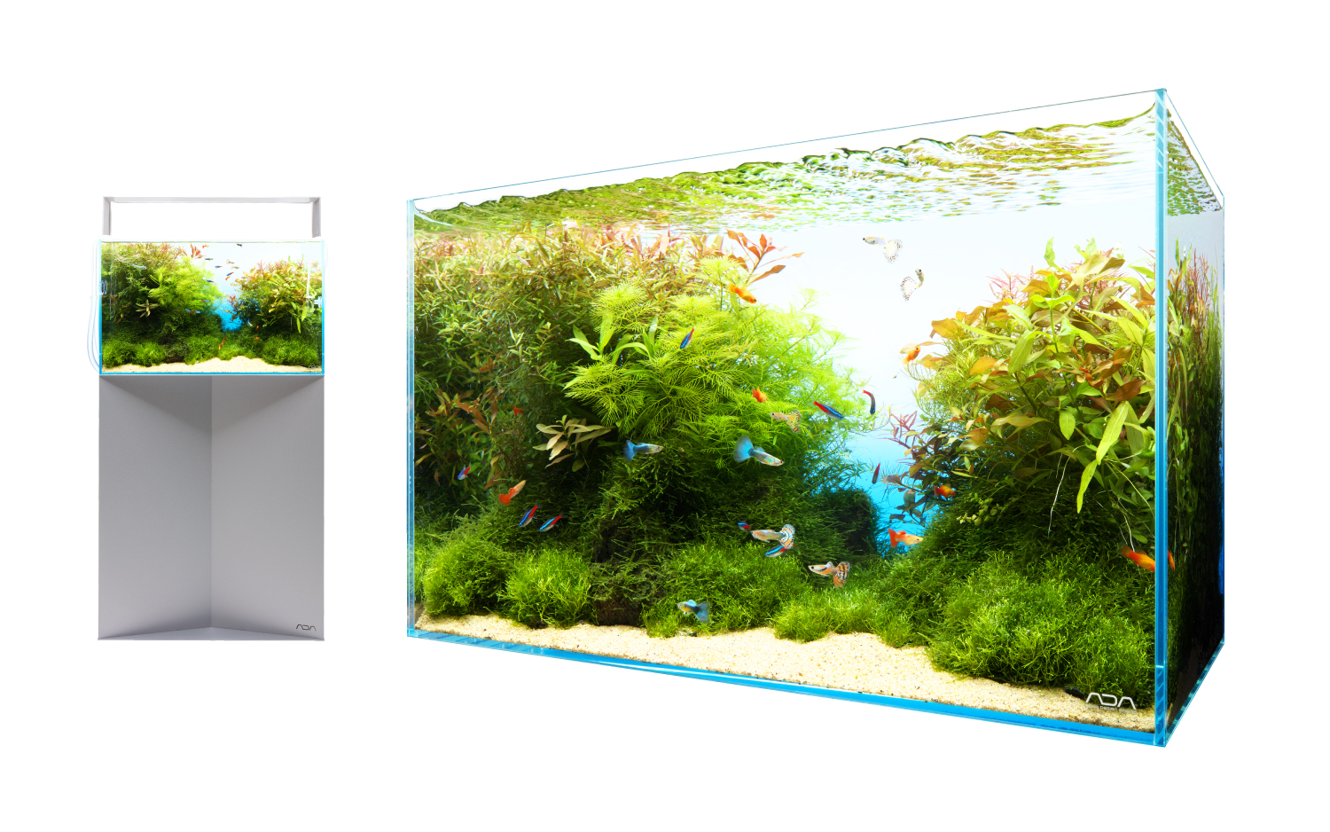 HOME AQUARIUM 'Create, Decorate and Enjoy'   ADA