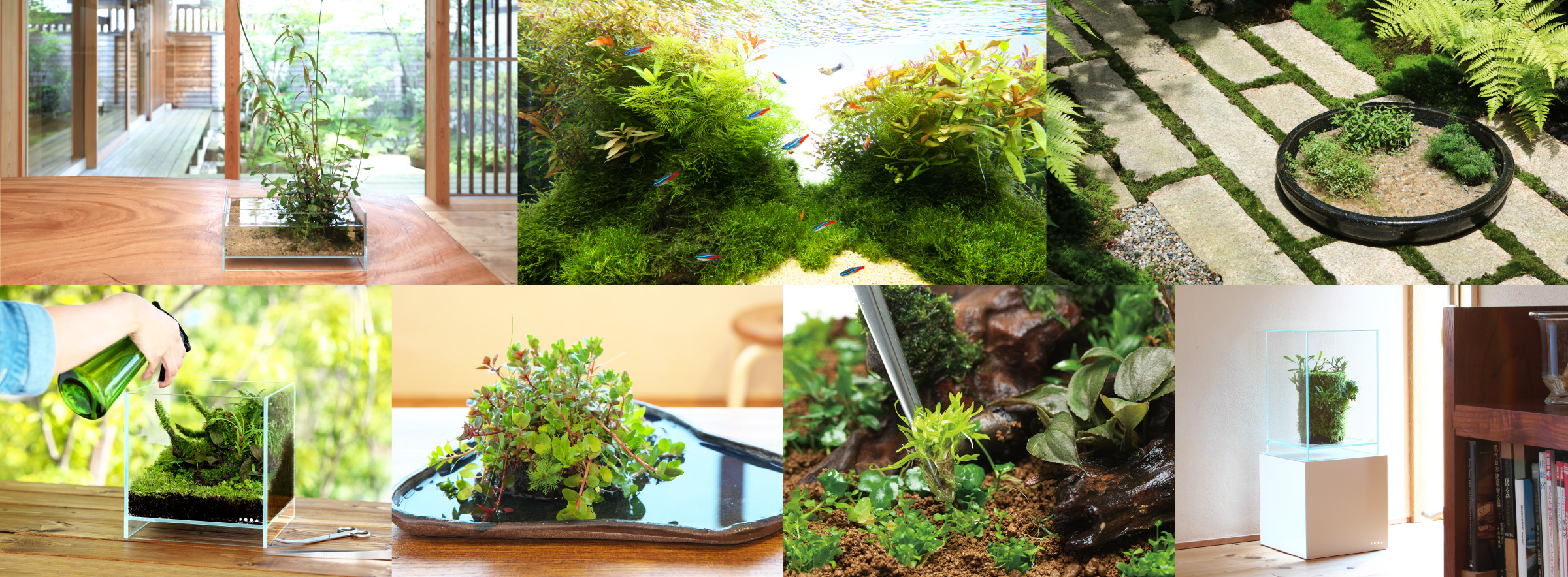 HOME AQUARIUM ‘Enjoy plants with Neo Glass Air’