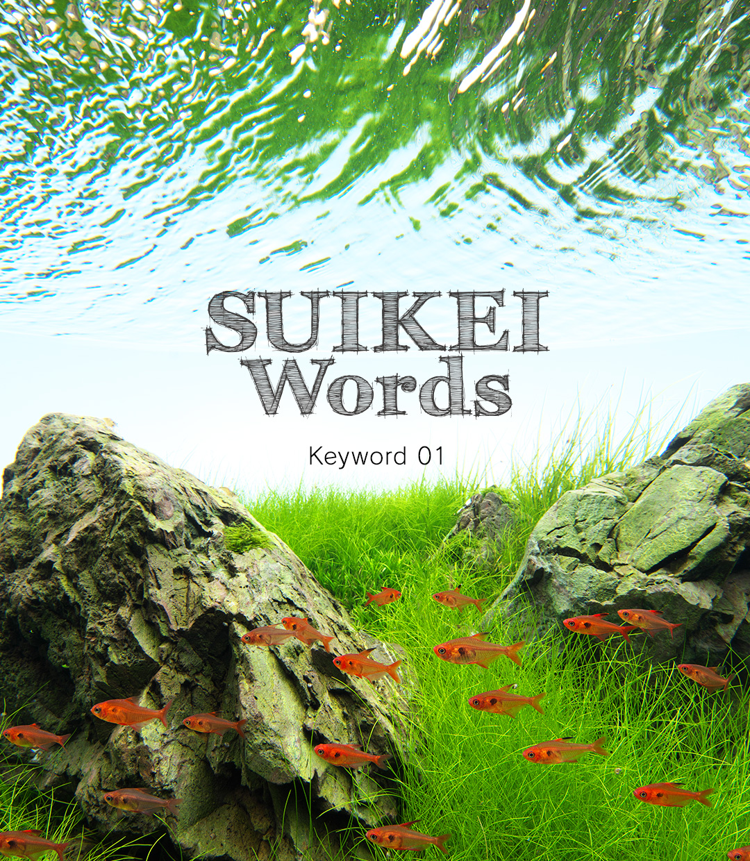 SUIKEI Words Keyword 01 ‘Layout composition – Iwagumi’