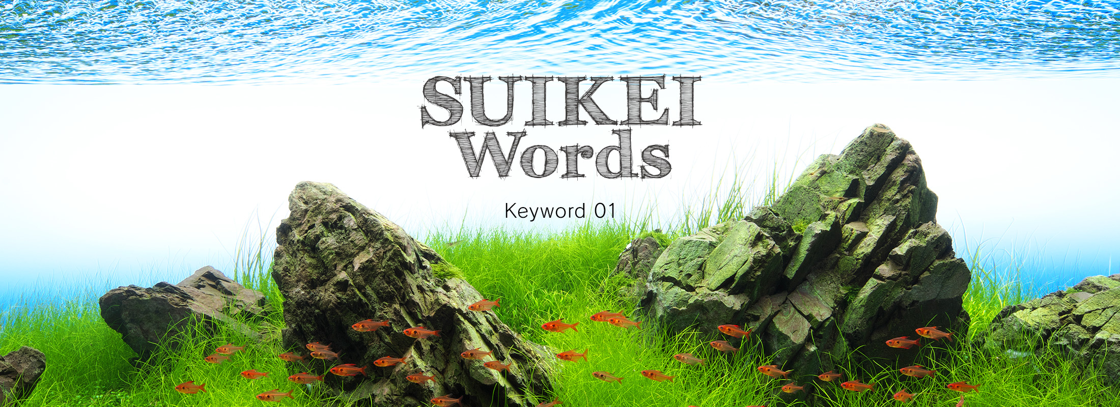 SUIKEI Words Keyword 01 ‘Layout composition – Iwagumi’