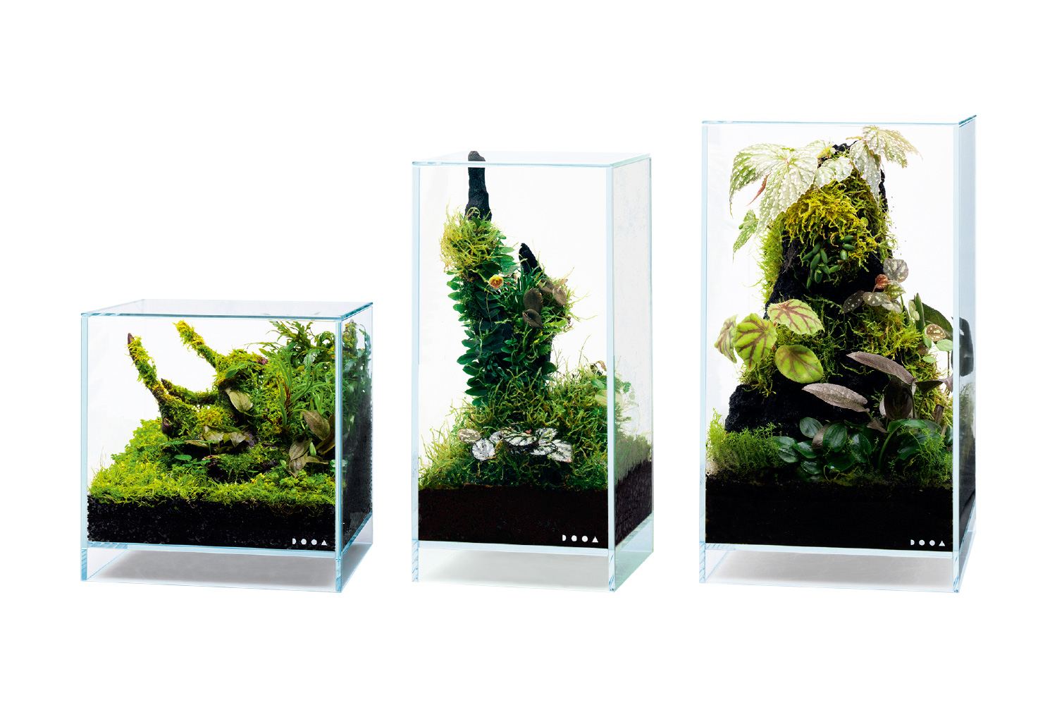 HOME AQUARIUM 'Enjoy plants with Neo Glass Air' |