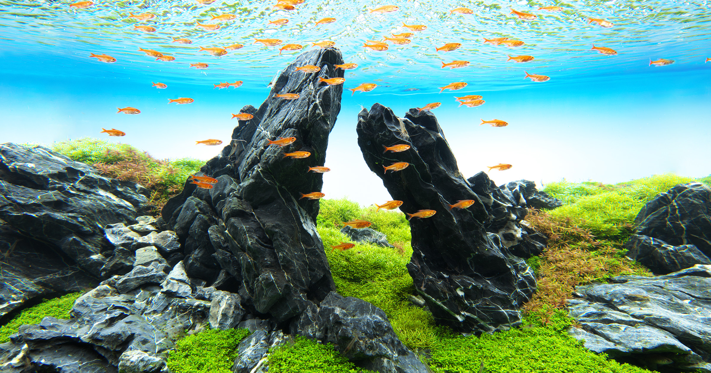 NATURE IN THE GLASS ‘Knot Rocks’ | en