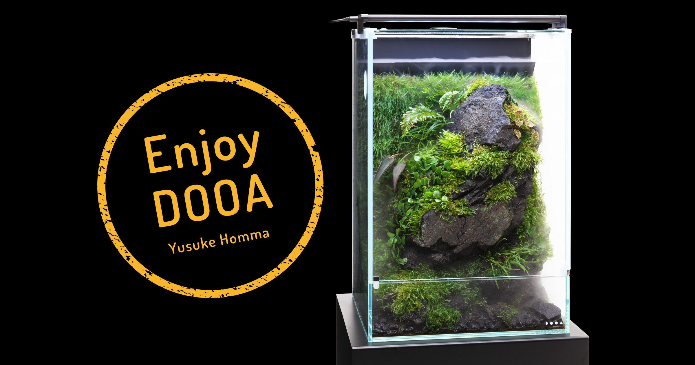 Enjoy DOOA ‘Moss and plants that prefer high humidity, Admiring “Stones, Moss and Coolness” with System Paluda’