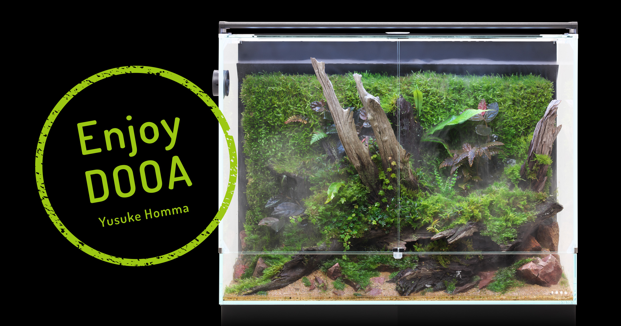 Enjoy DOOA ‘Soothing Paludarium expressing Wabi-Sabi with old driftwood and moss’