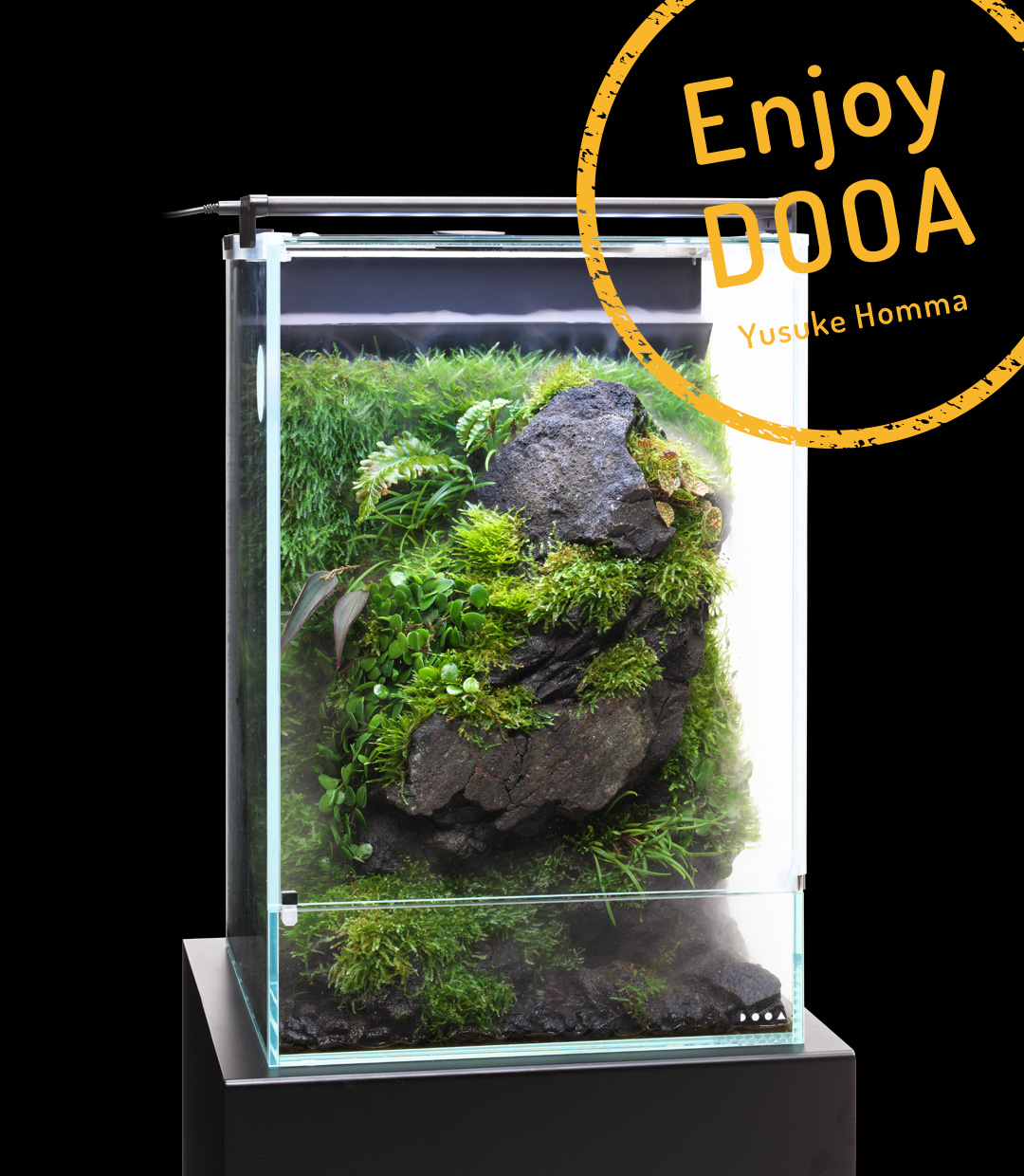 Enjoy DOOA ‘Moss and plants that prefer high humidity, Admiring “Stones, Moss and Coolness” with System Paluda’