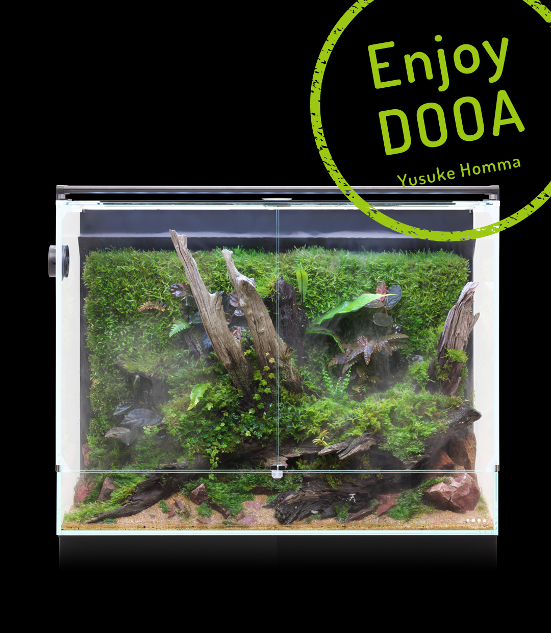 Enjoy DOOA ‘Soothing Paludarium expressing Wabi-Sabi with old driftwood and moss’