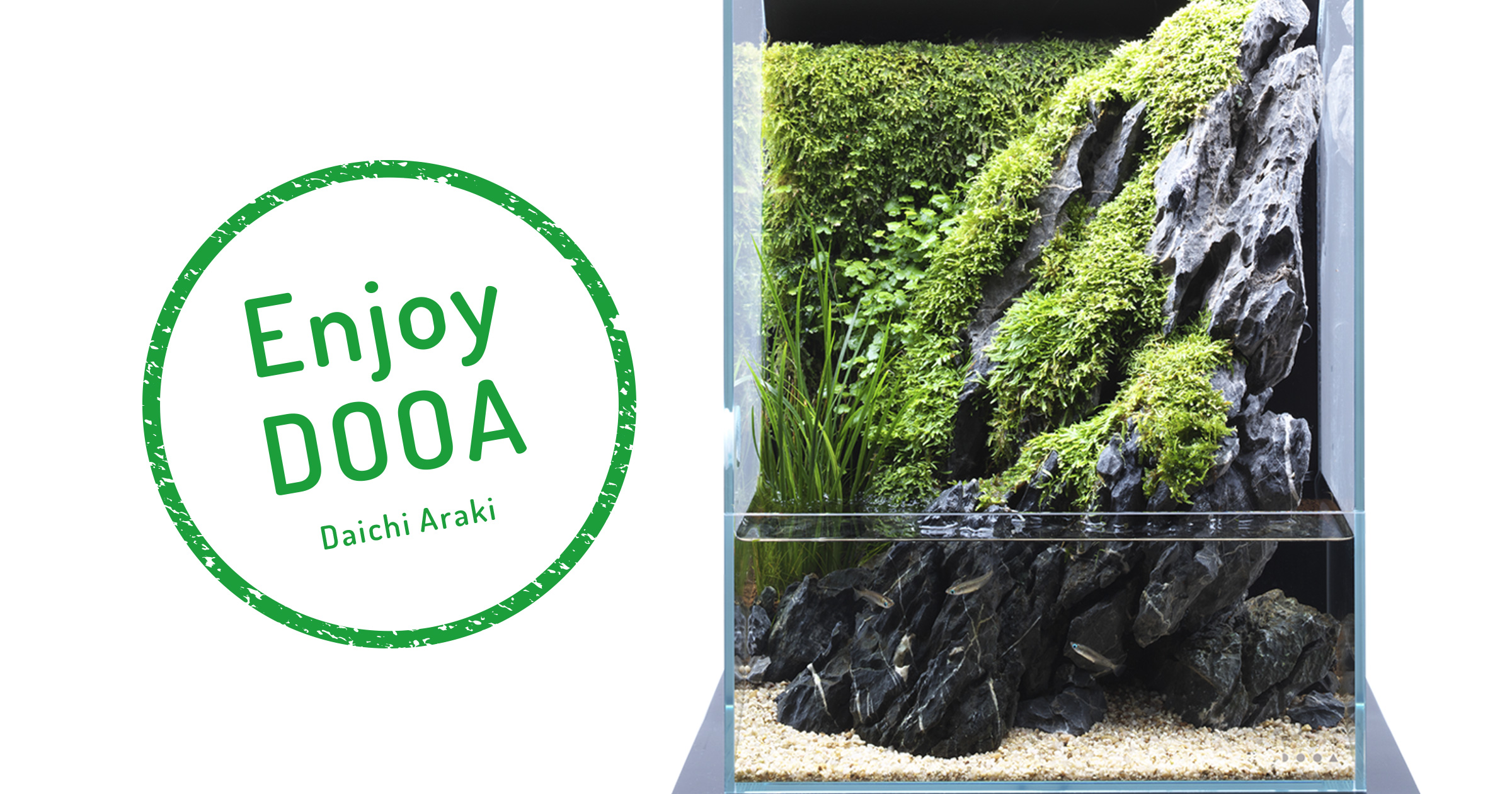 Enjoy DOOA ‘Aqua Terrarium feeling cool from the combination of greenery and stones’