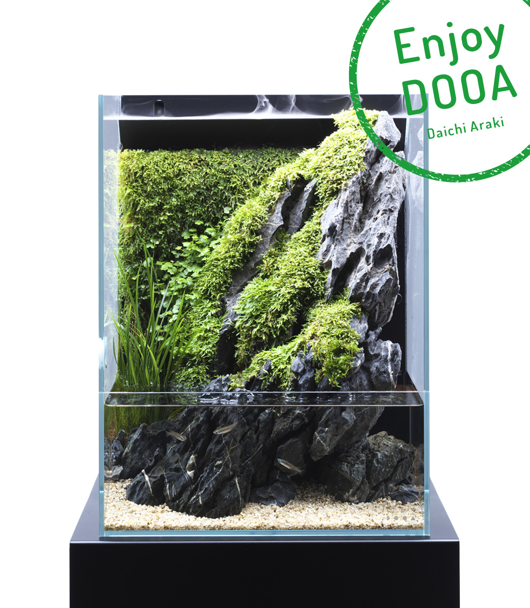 Enjoy DOOA ‘Aqua Terrarium feeling cool from the combination of greenery and stones’