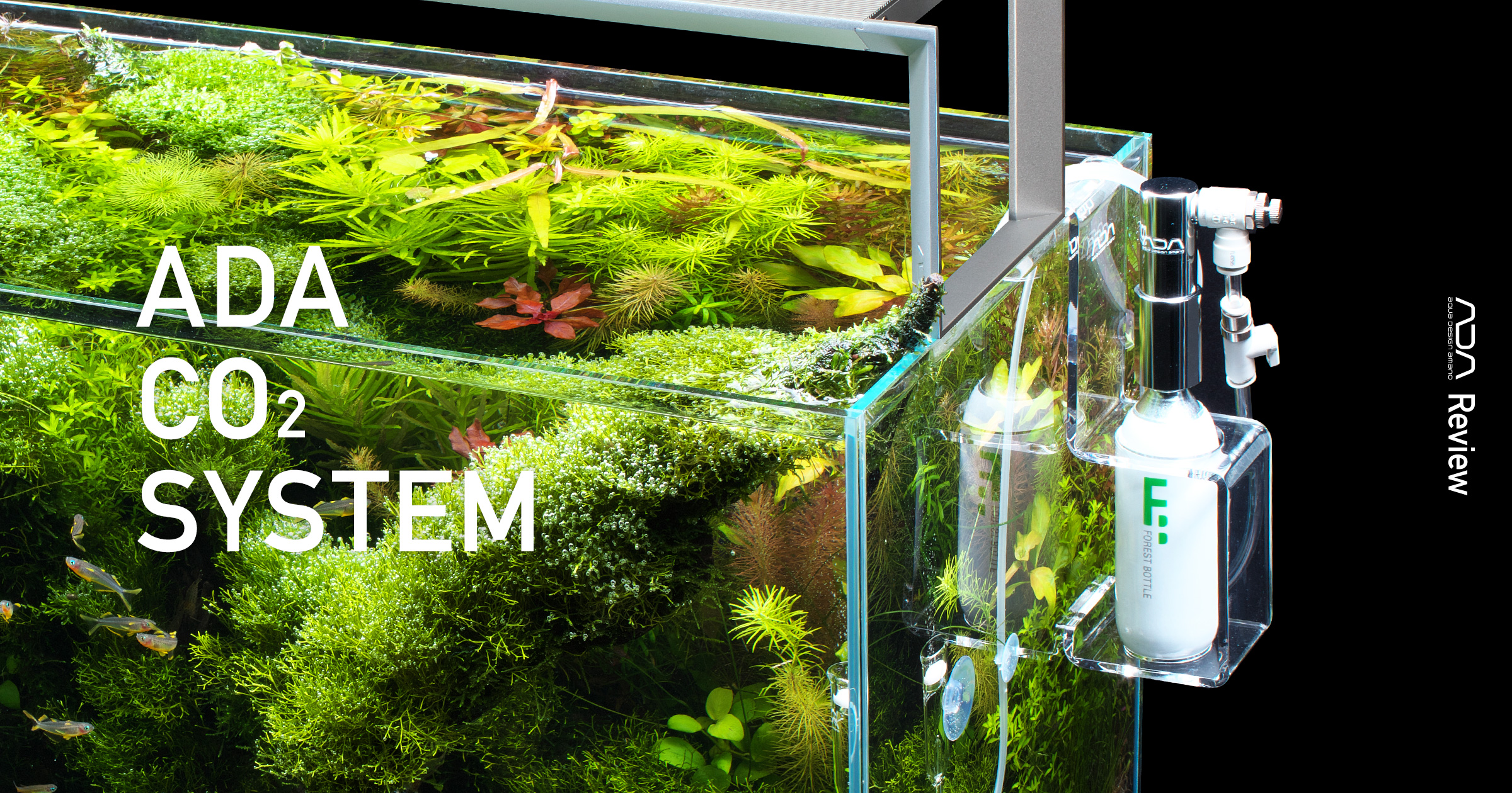 Ada Co2 System Improving Photosynthesis By Co2 Injection Ada