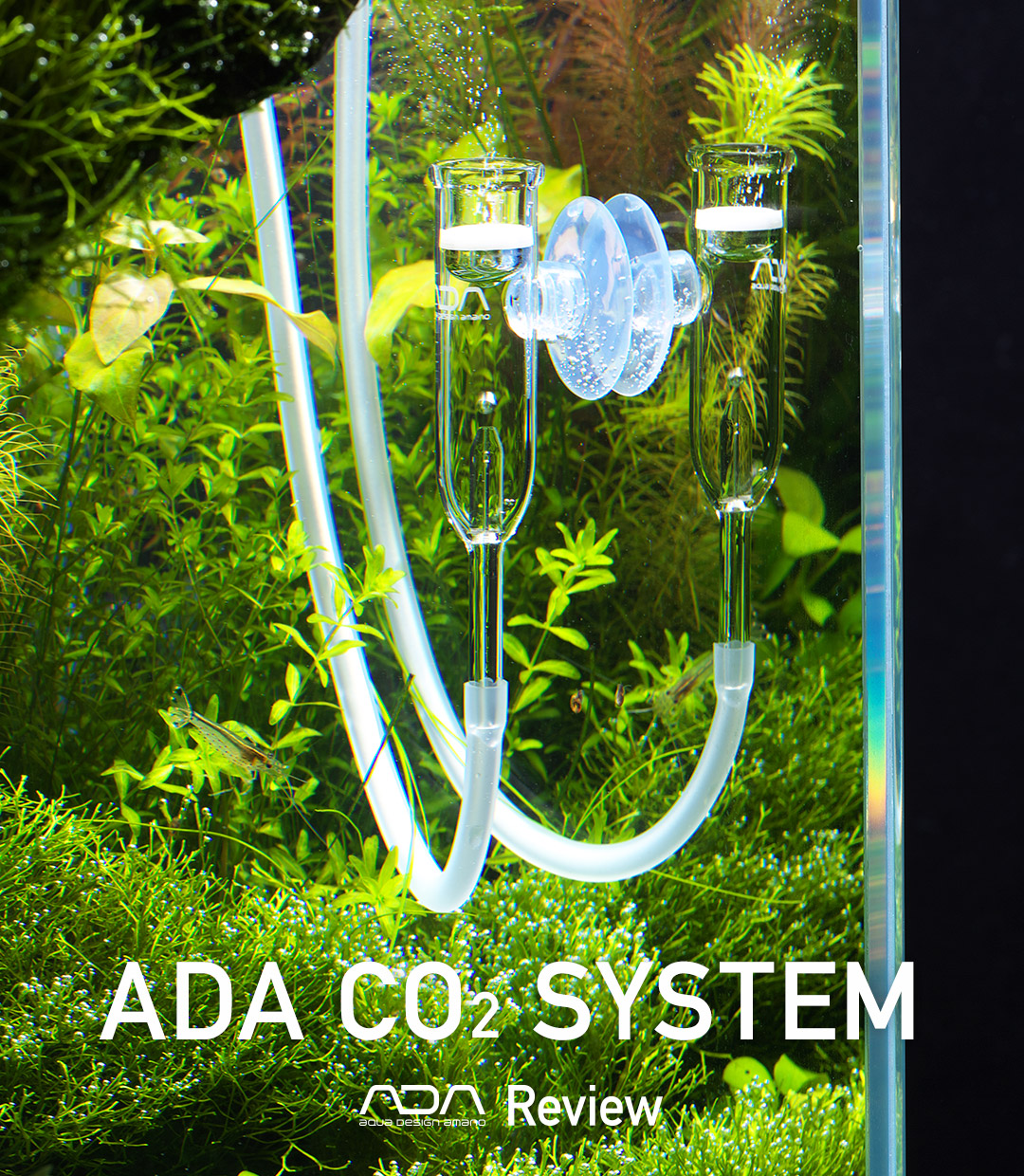 ADA Review – ADA CO2 SYSTEM –