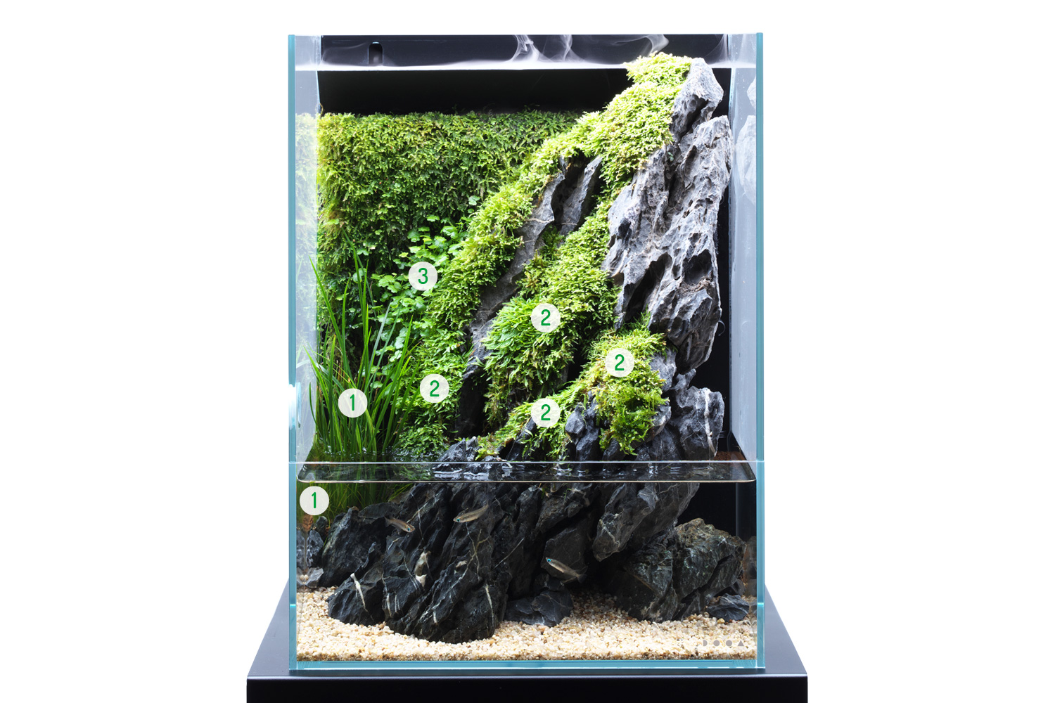 Aqua terrarium best sale kit