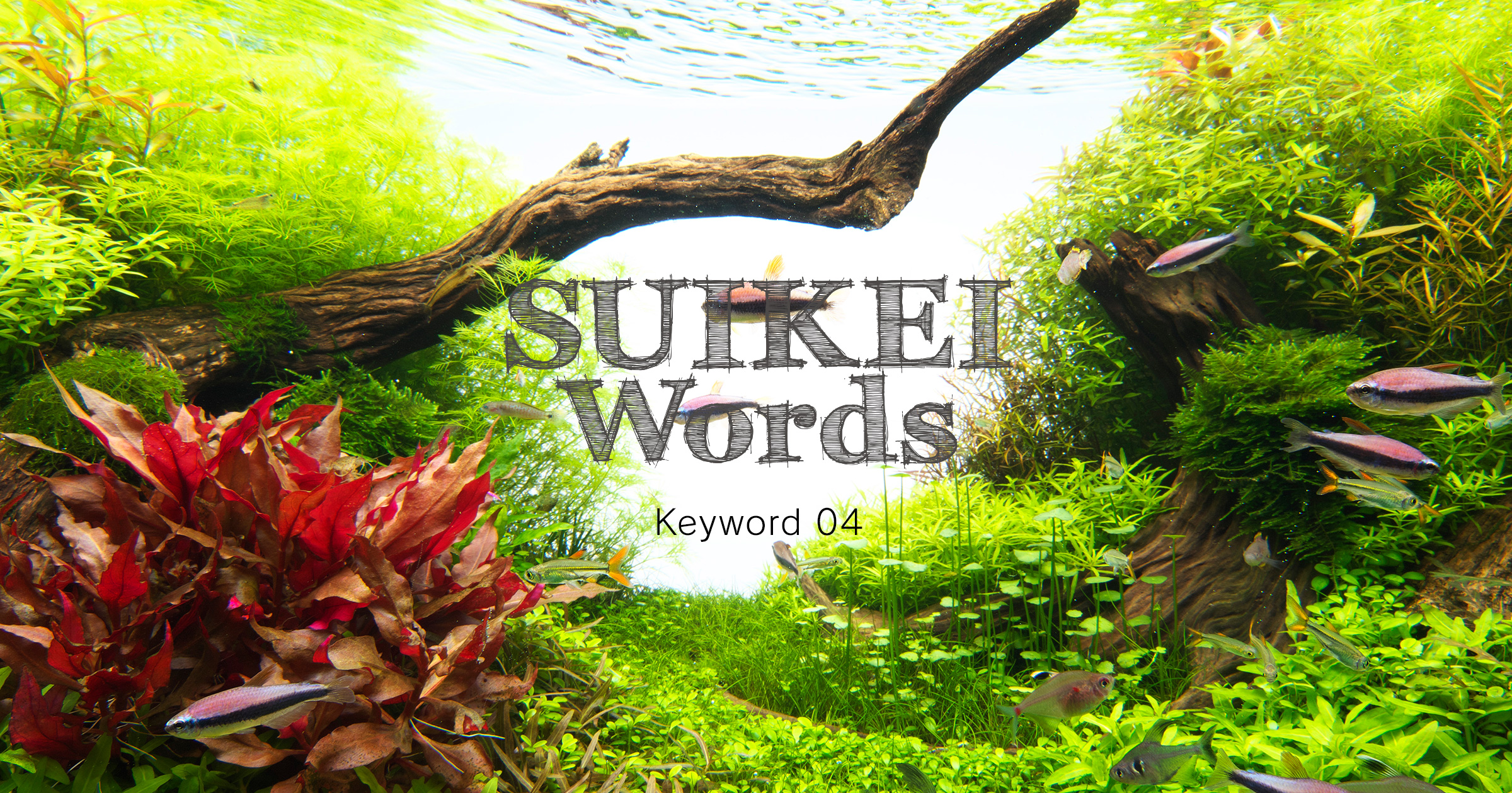 SUIKEI WORDS Keyword 04 'Planting' | en
