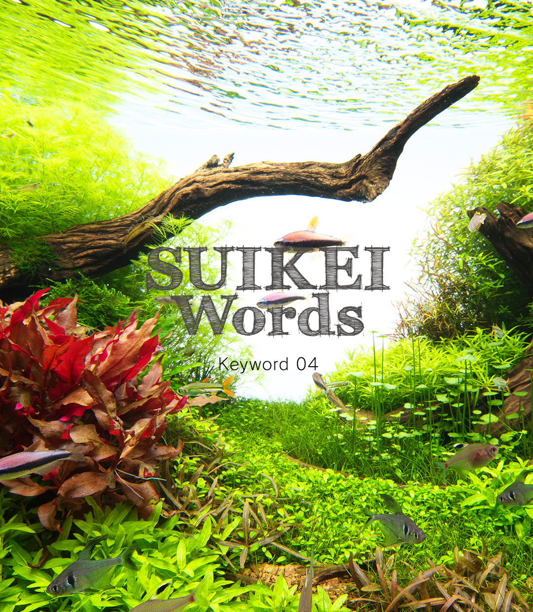 SUIKEI WORDS Keyword 04 ‘Planting’