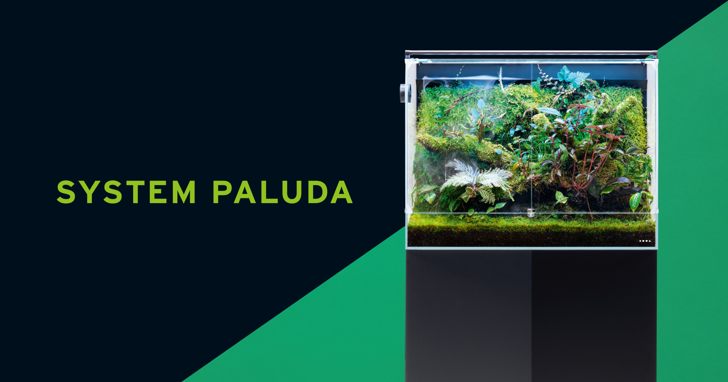 DOOA SYSTEM PALUDA 60 ‘Reproduce the Environment of Tropical Cloud Forests with Blue Tinted Light and Mist’