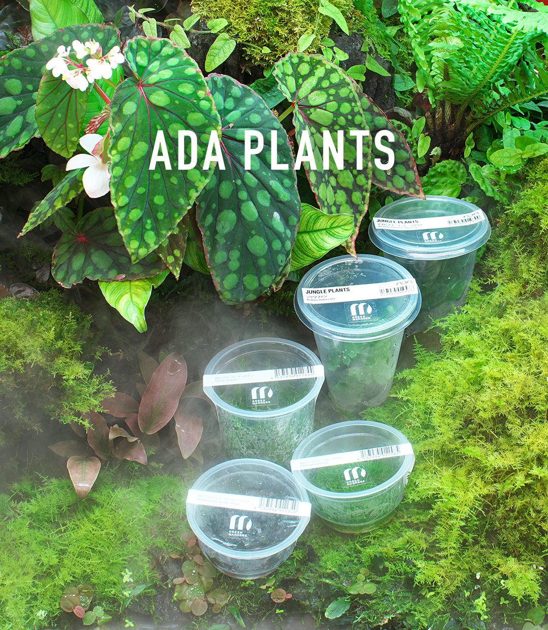 ADA PLANTS ‘As If Plants Evolve, the Style of ADA’s Living Products Becomes Diverse’