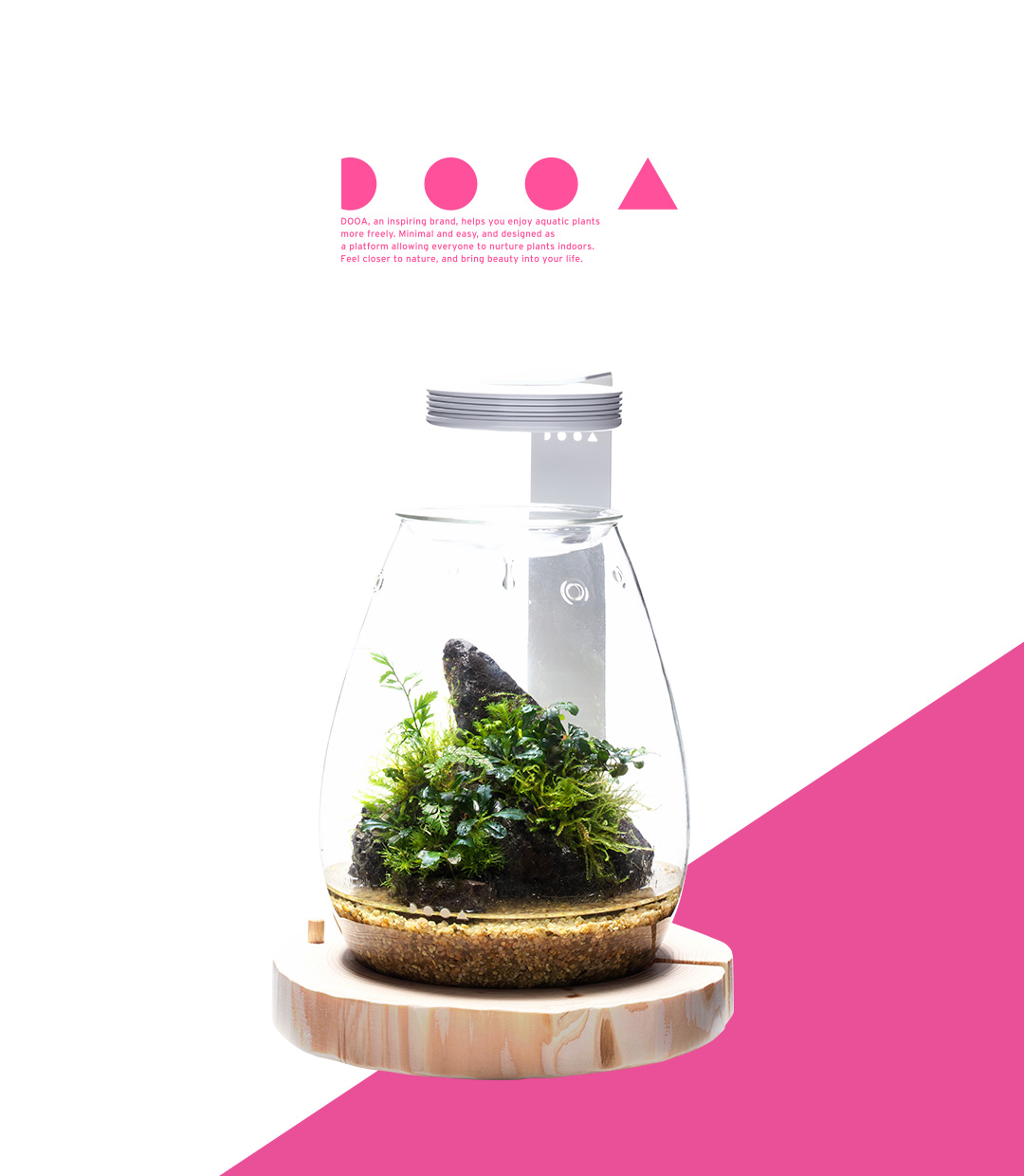 DOOA GLASS POT SHIZUKU ‘Bring the Healing Power of Forest into A New Shape’