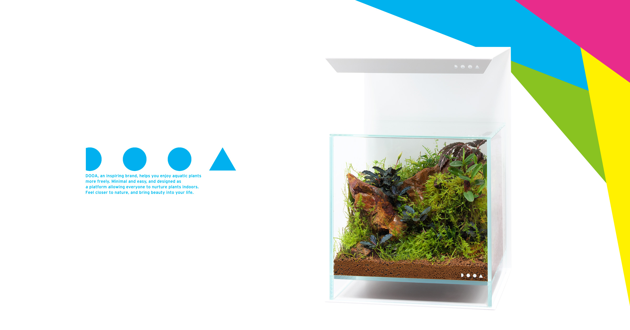 DOOA PALUDARIUM ‘Imagine the Natural Habitat of Tropical Plants’