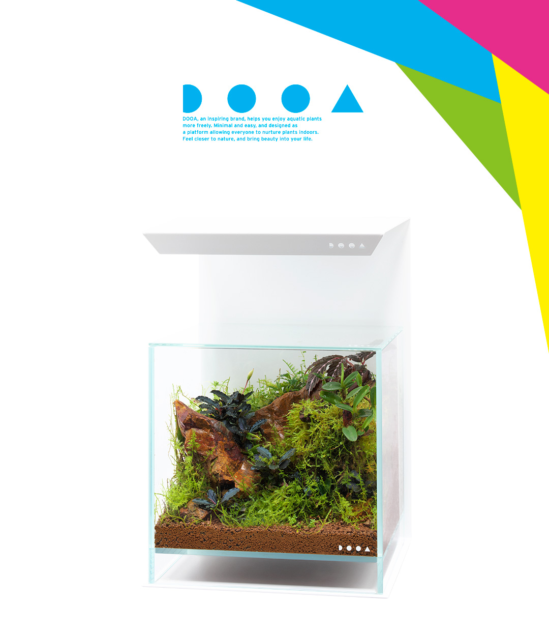 DOOA PALUDARIUM ‘Imagine the Natural Habitat of Tropical Plants’