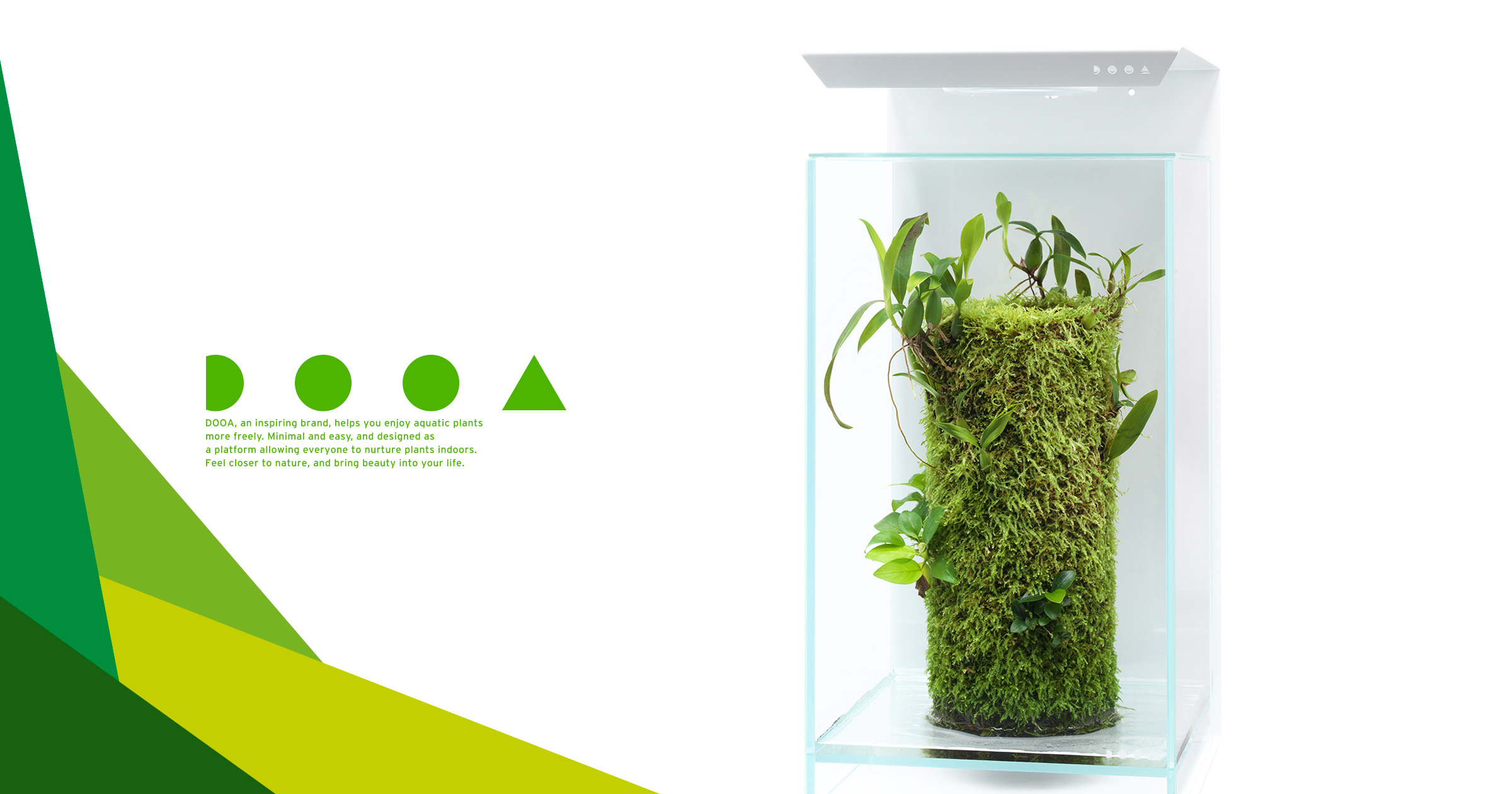DOOA TERRA BASE ‘Charms of Epiphytic Plants that Grow on Moss-covered Trees’