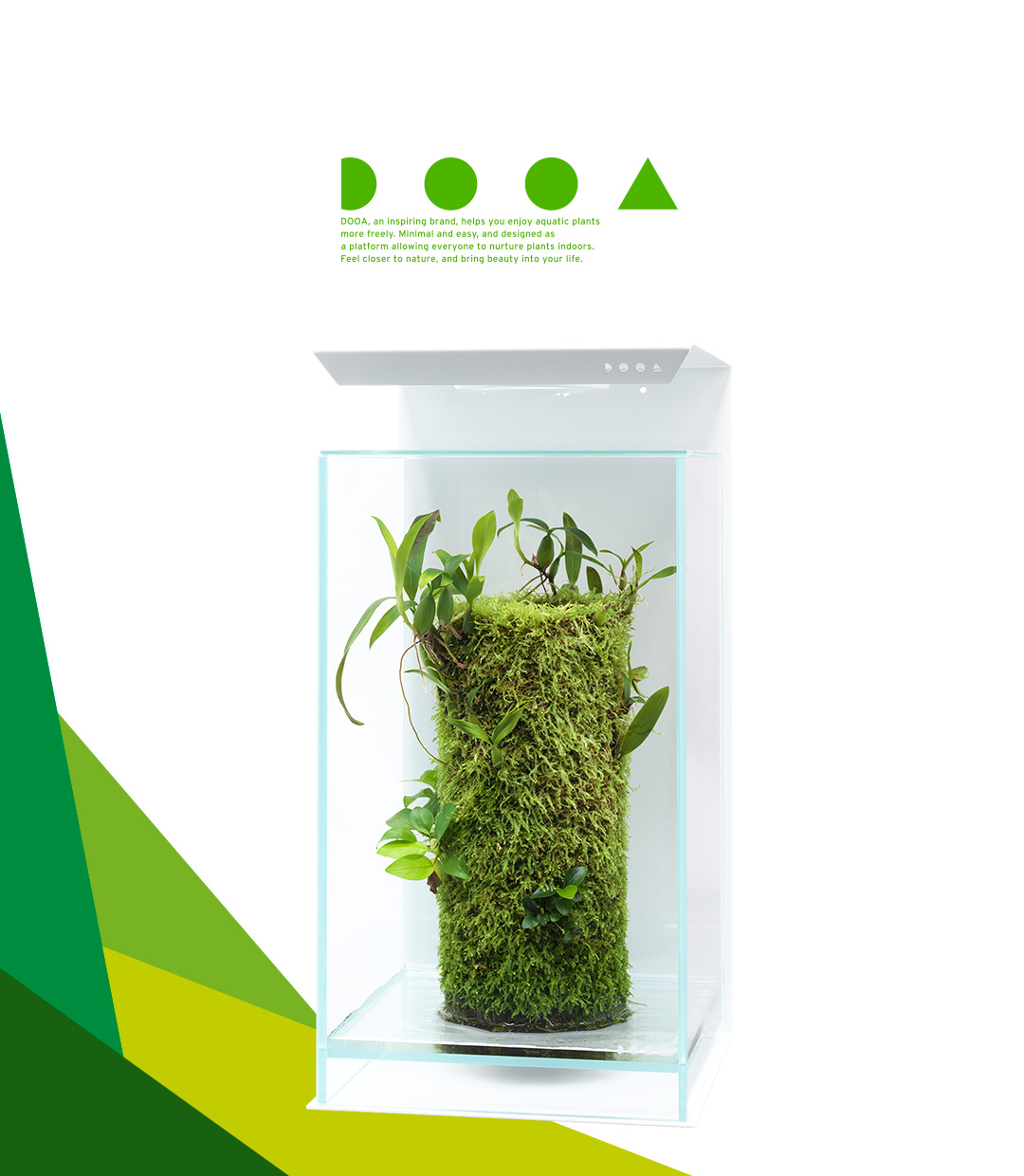 DOOA TERRA BASE ‘Charms of Epiphytic Plants that Grow on Moss-covered Trees’