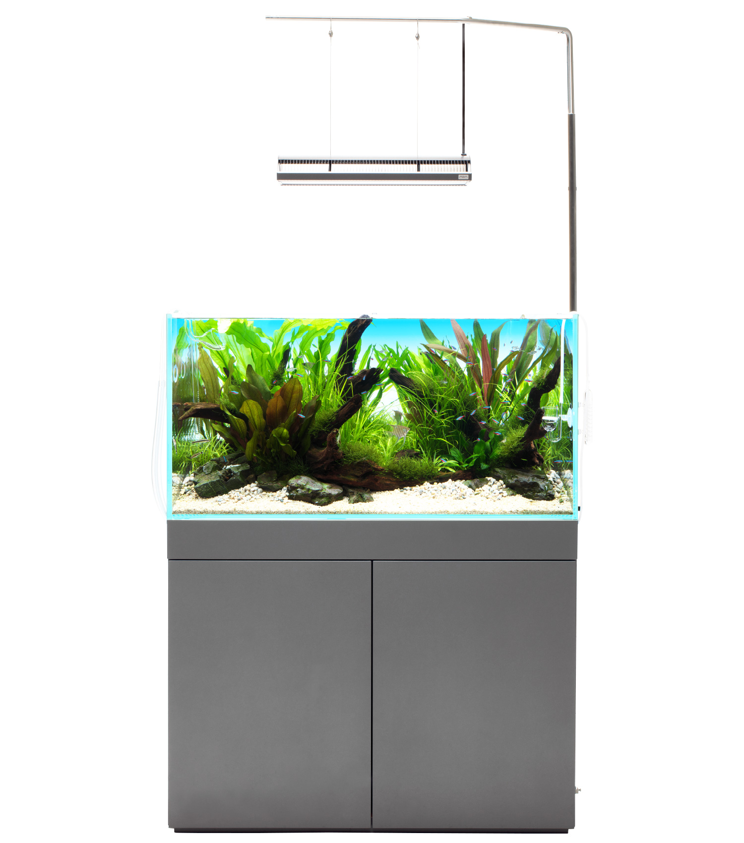 ADA Drop Checker – Aqua Forest Aquarium