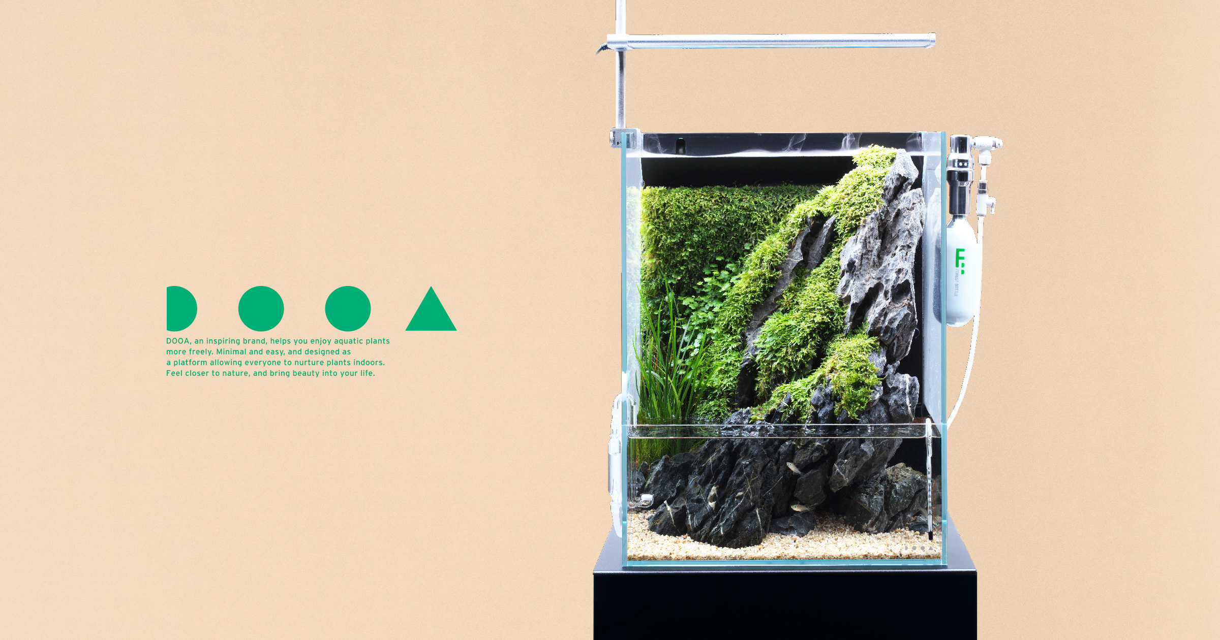 DOOA SYSTEM TERRA 30 ‘Enjoy Waterside Scenery  Created in An Aqua-terrarium’