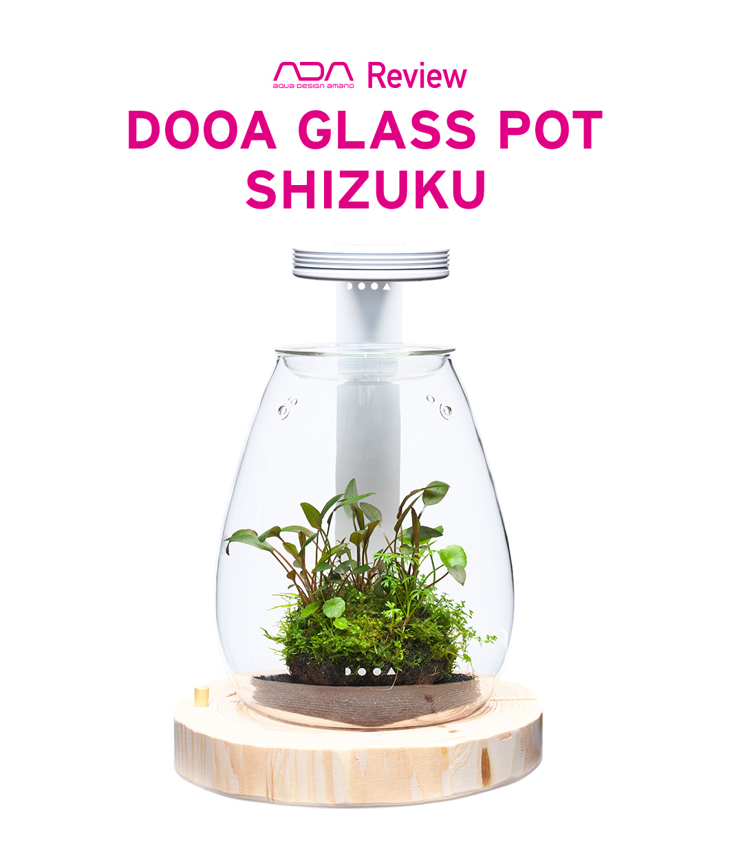 GLASS POT SHIZUKU ‘New Green Relaxation’