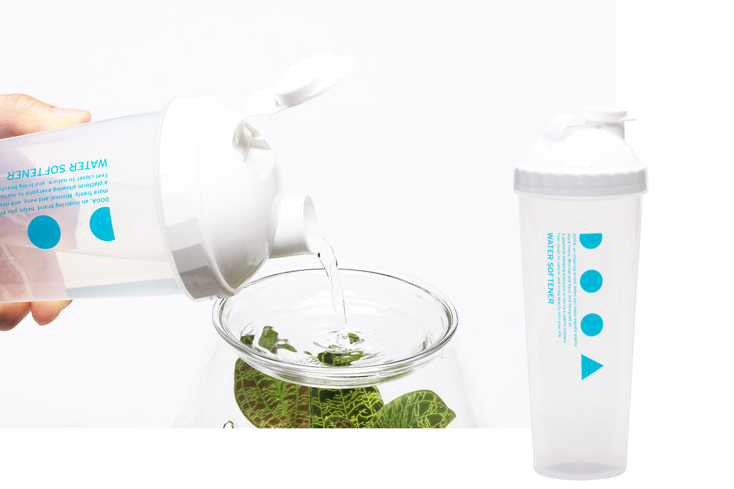 GLASS POT SHIZUKU 'New Green Relaxation' | NEWS | DOOA