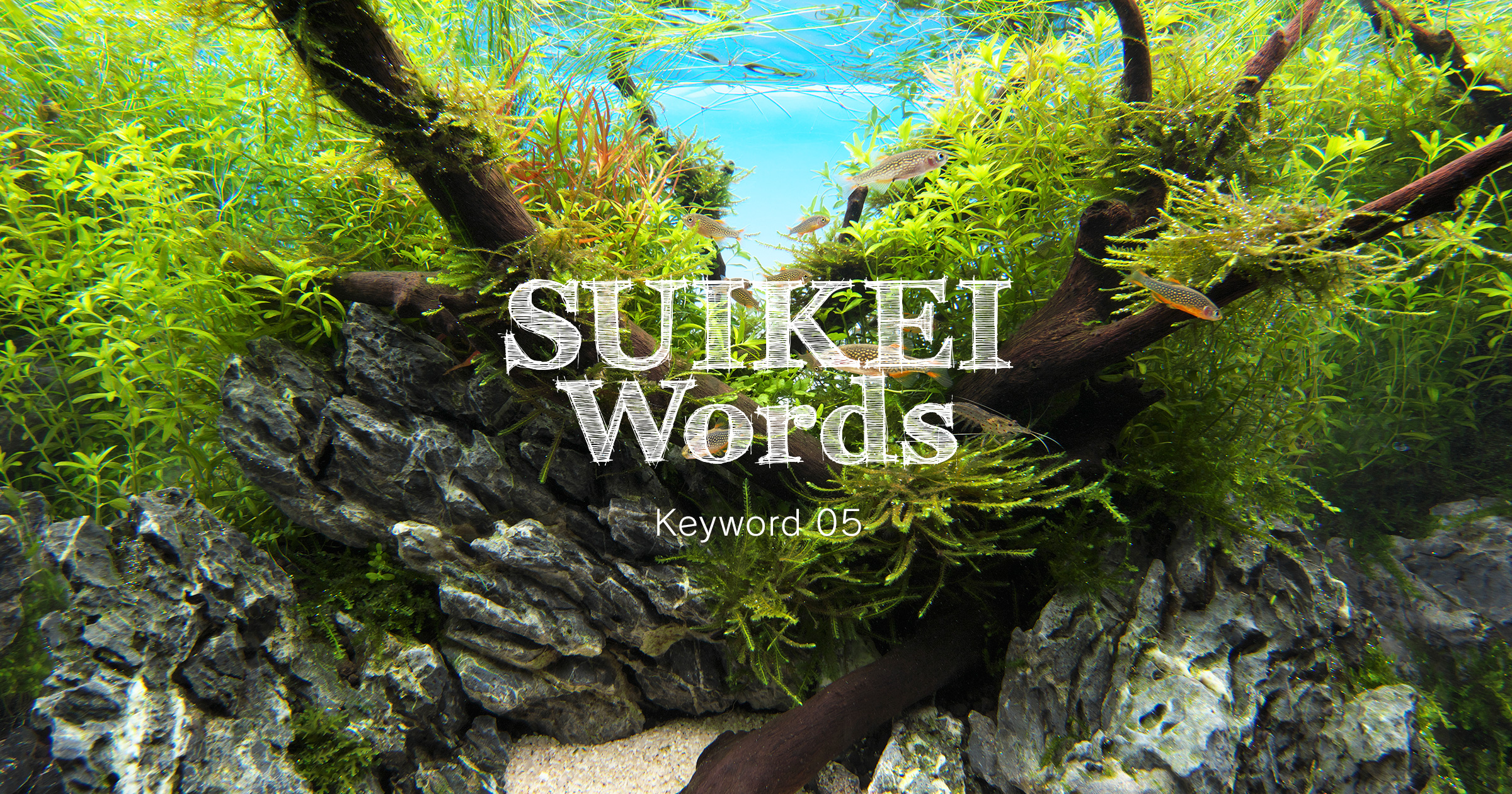 SUIKEI WORDS Keyword 05 ‘Techniques to make small layouts look bigger’