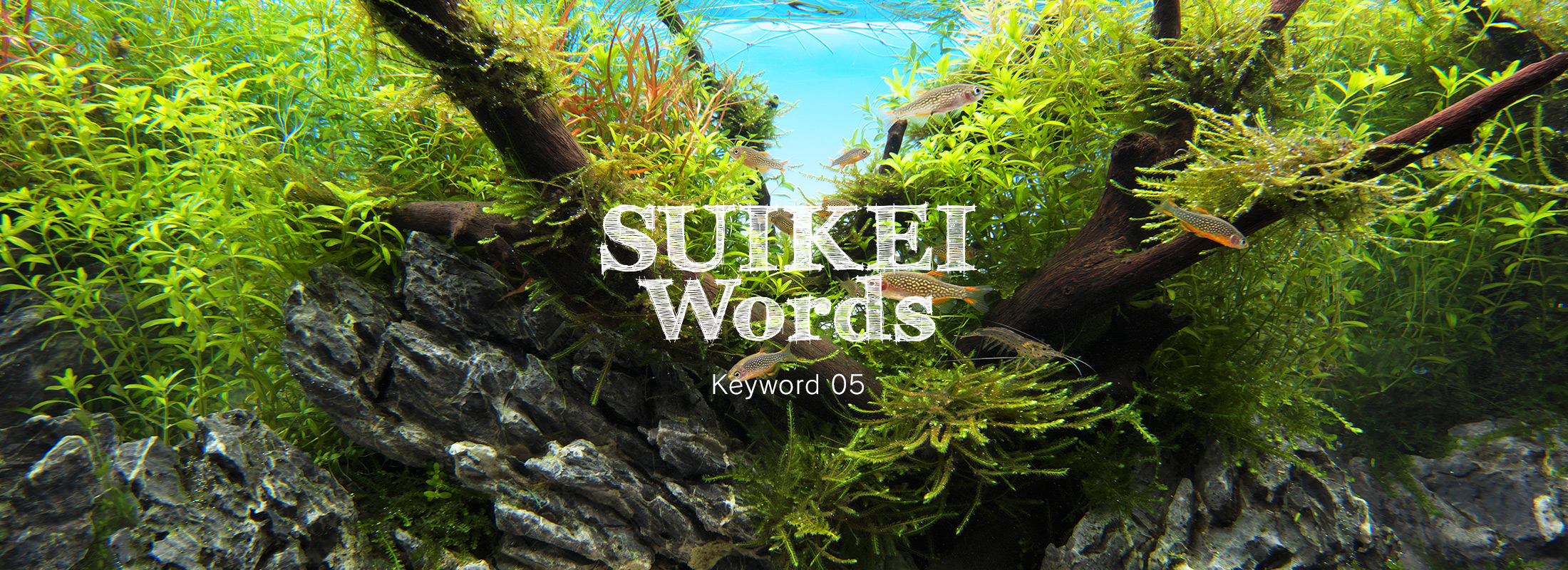 SUIKEI WORDS Keyword 05 ‘Techniques to make small layouts look bigger’