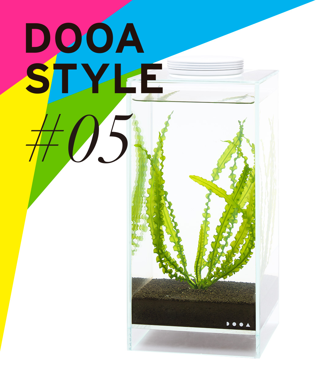 DOOA STYLE #5 ‘An aquatic plant with fluted leaves, native to Africa’