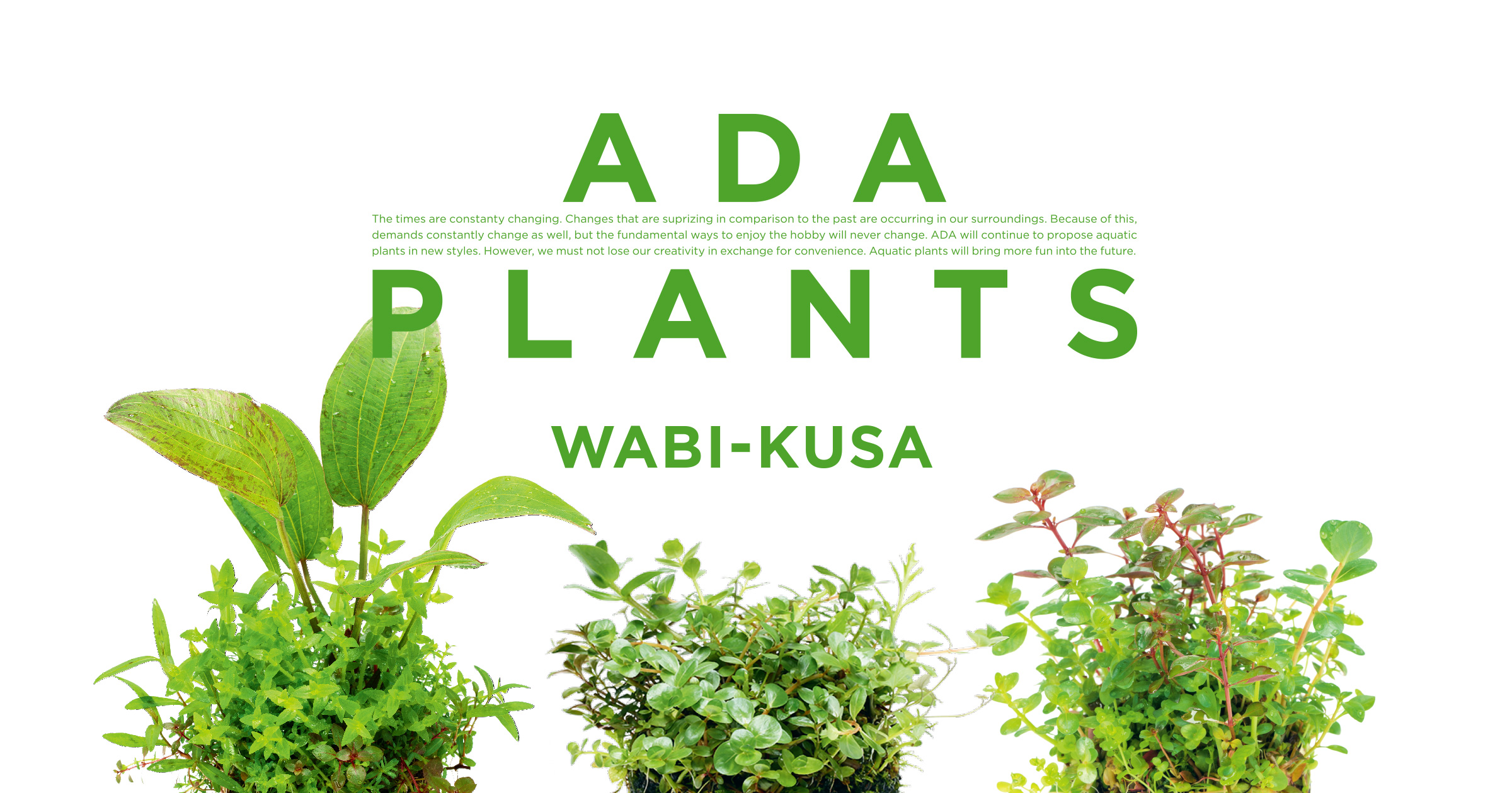 ADA PLANTS ‘Wabi-Kusa’
