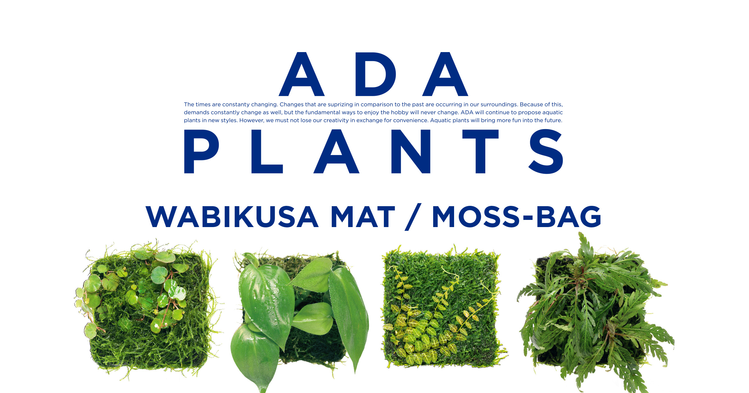 ADA PLANTS ‘Wabi-Kusa Mat & Moss Bag’