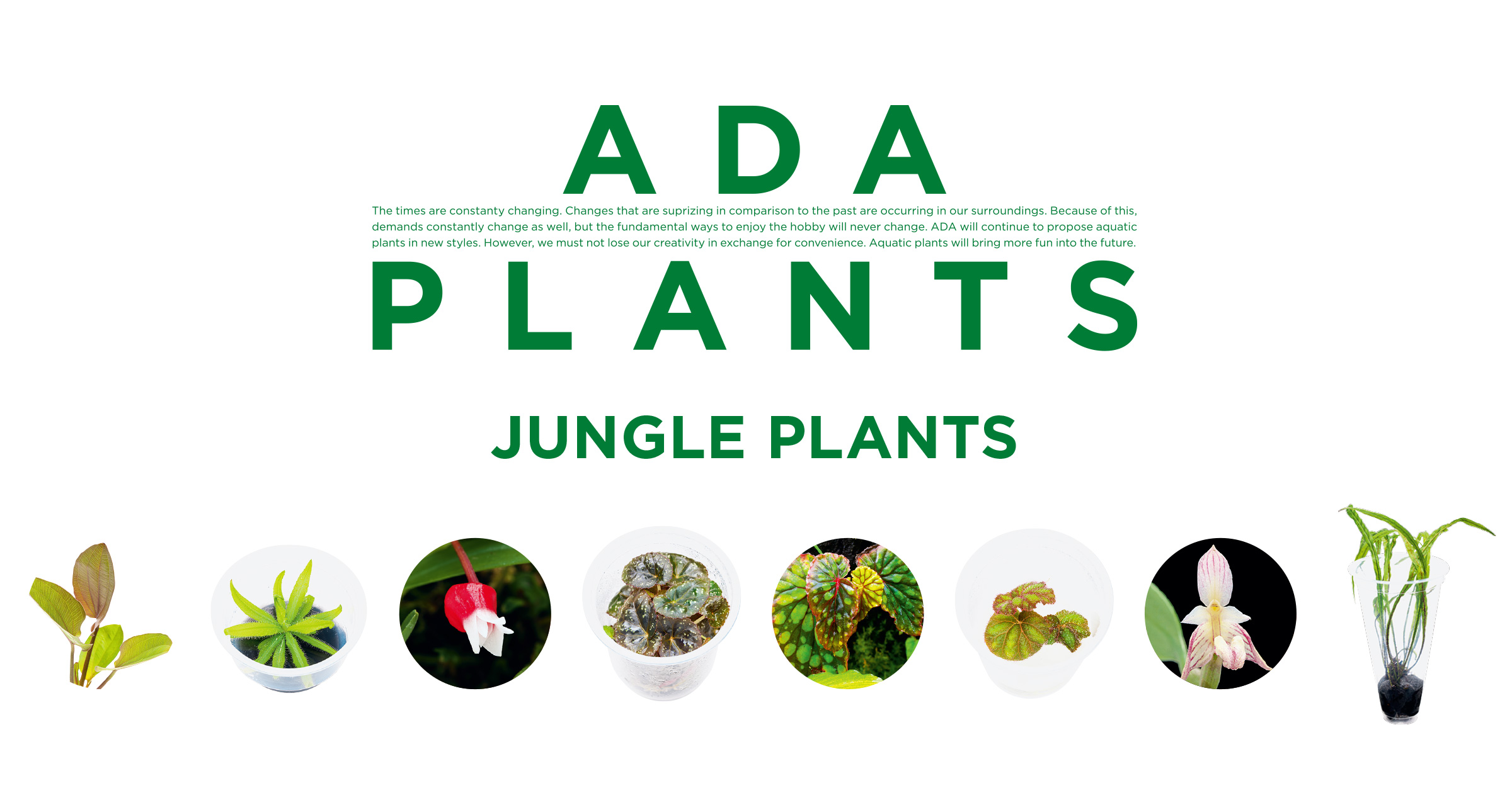 ADA PLANTS ‘Jungle Plants’