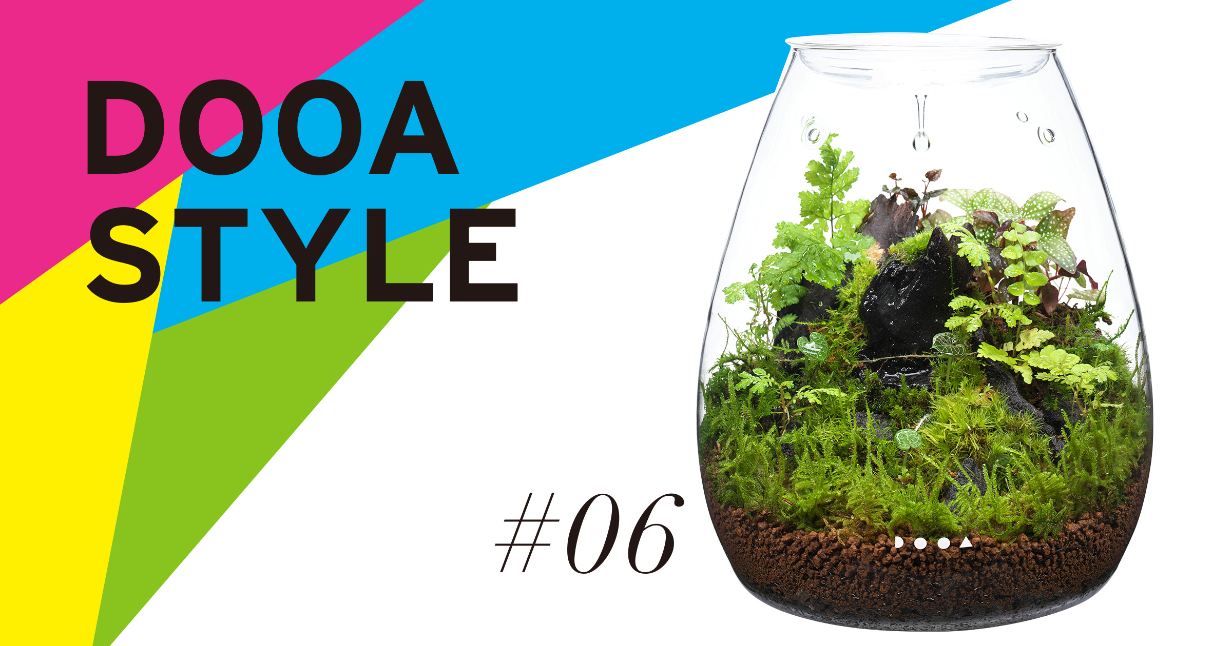 DOOA STYLE #6  ‘The needs of tiny living things growing in a small space’