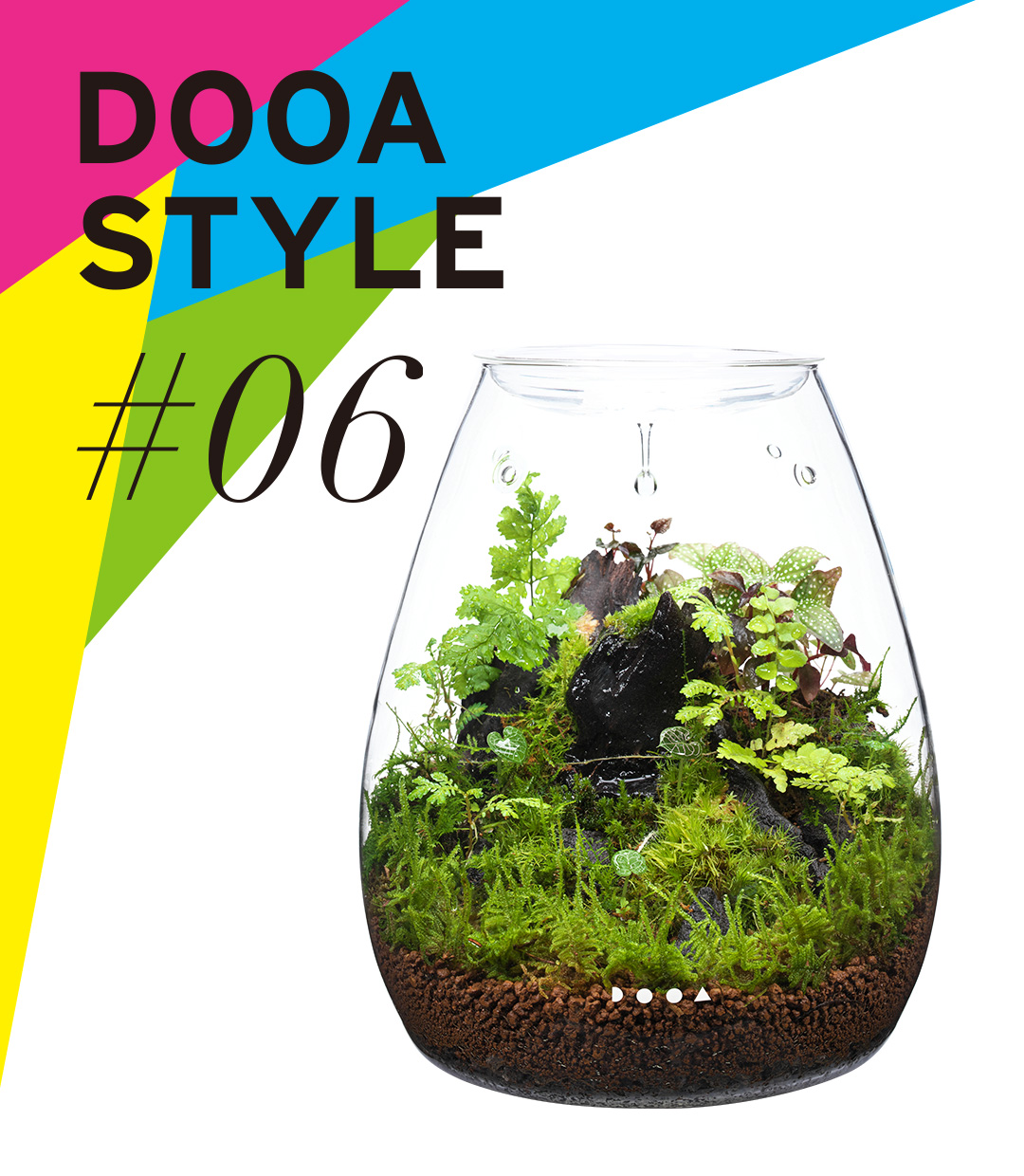 DOOA STYLE #6  ‘The needs of tiny living things growing in a small space’