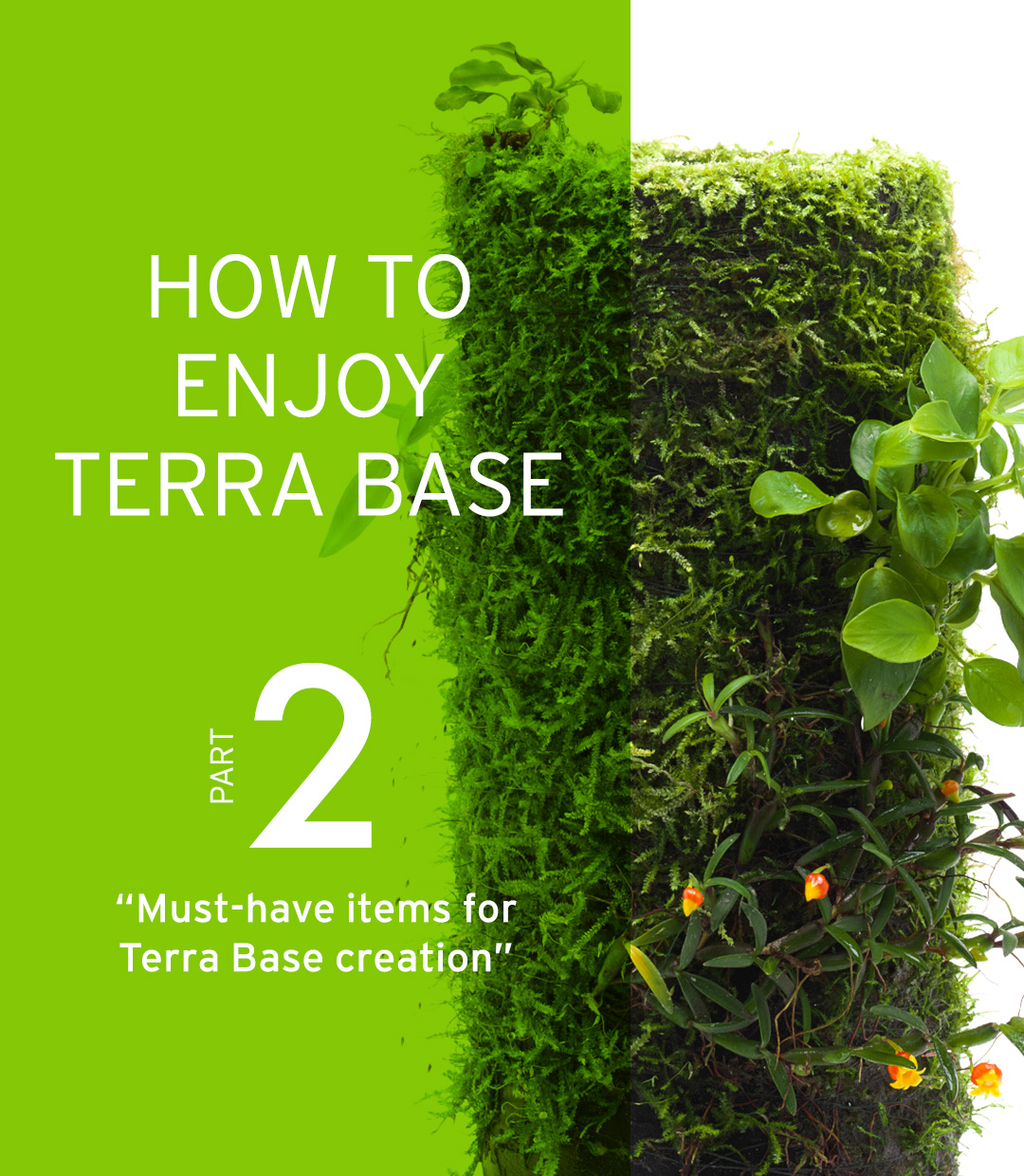 HOW TO ENJOY TERRA BASE “Must-have items for Terra Base creation”