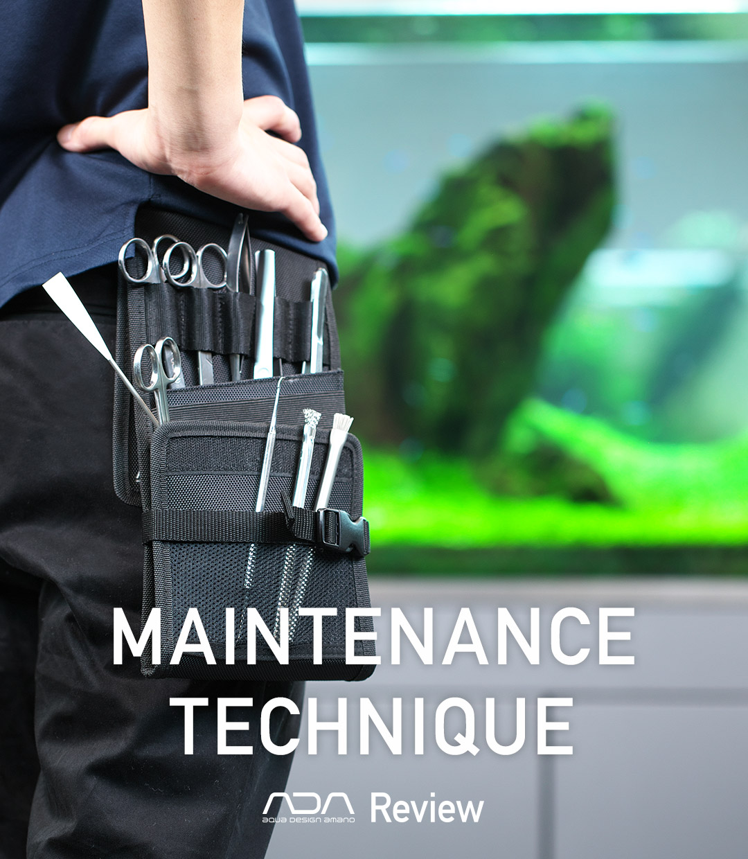 ADA Review ‘Maintenance Technique – Iwagumi Layout’